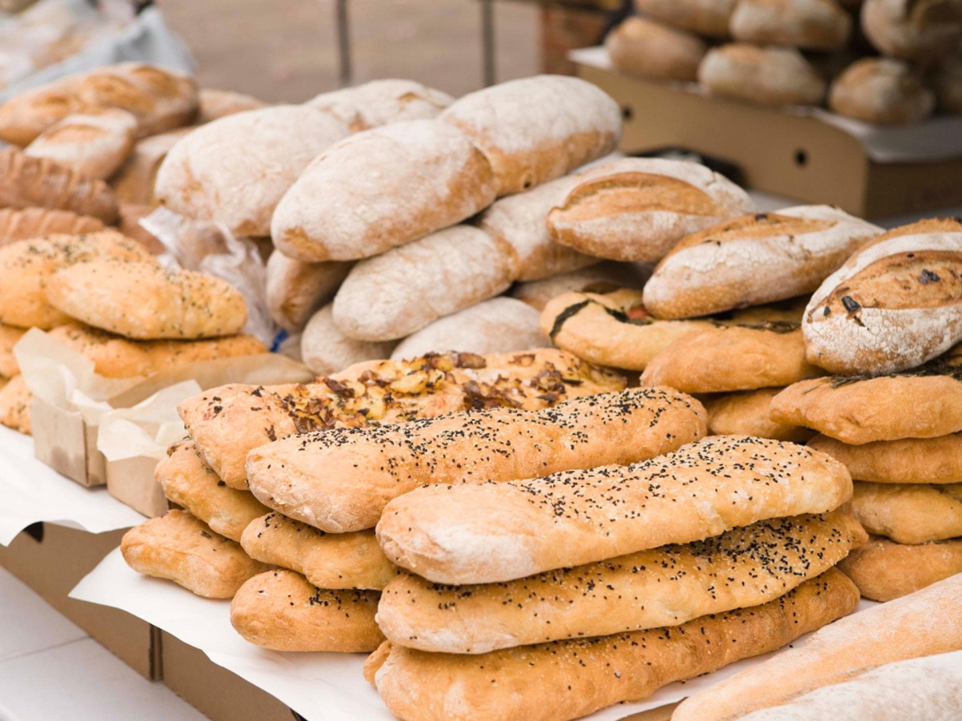 Sammlung verschiedener Brotsorten -  In unserem Brot-Lexikon von A bis Z erhalten Sie Nachhilfe