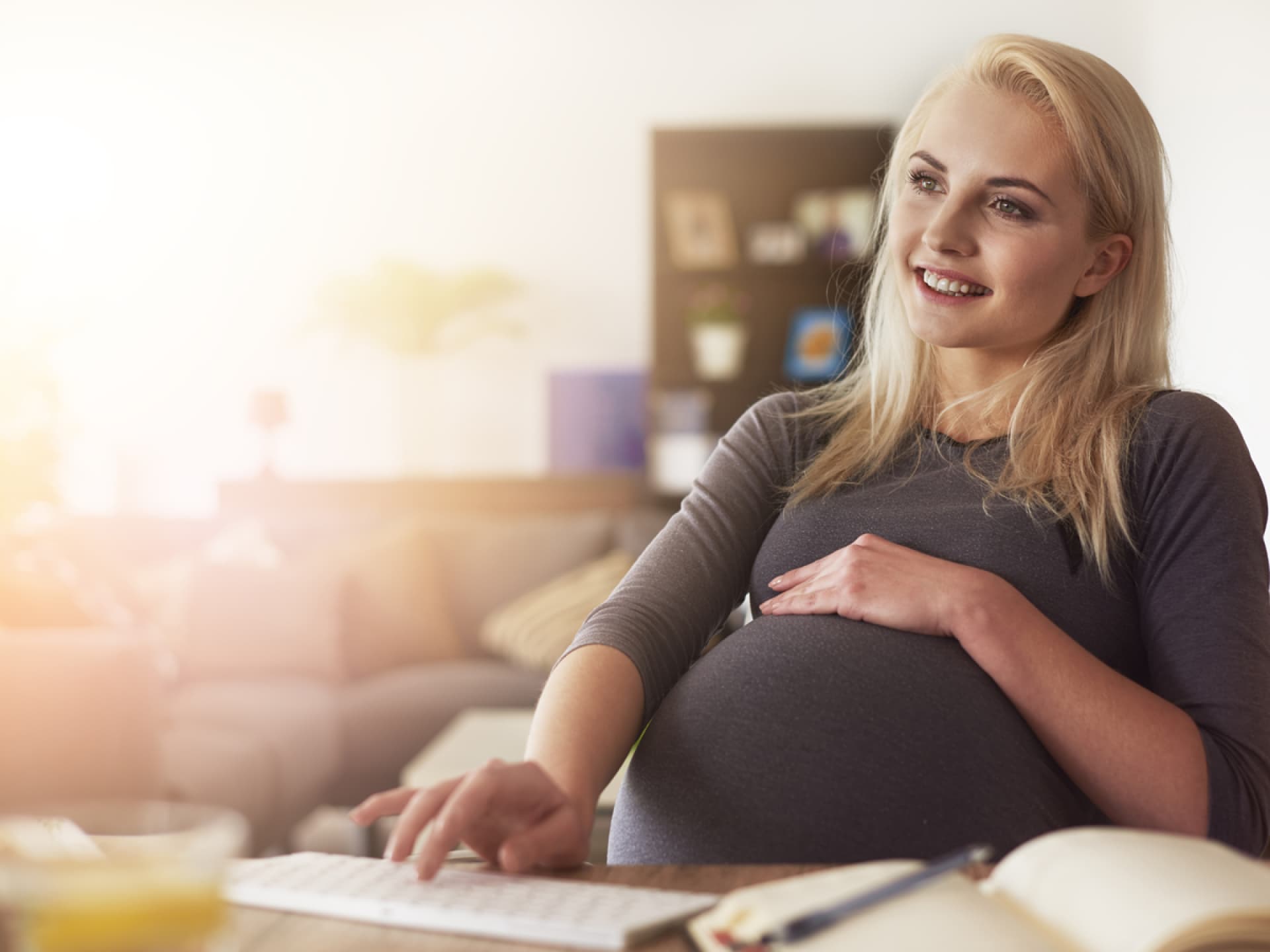 Bürokratie rund ums Baby Schwangere Frau am Computer
