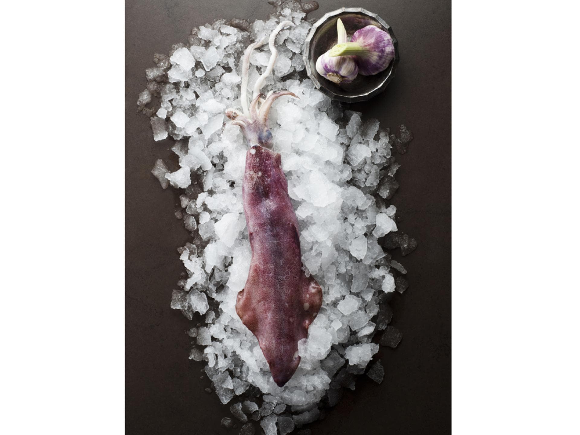 Calamari