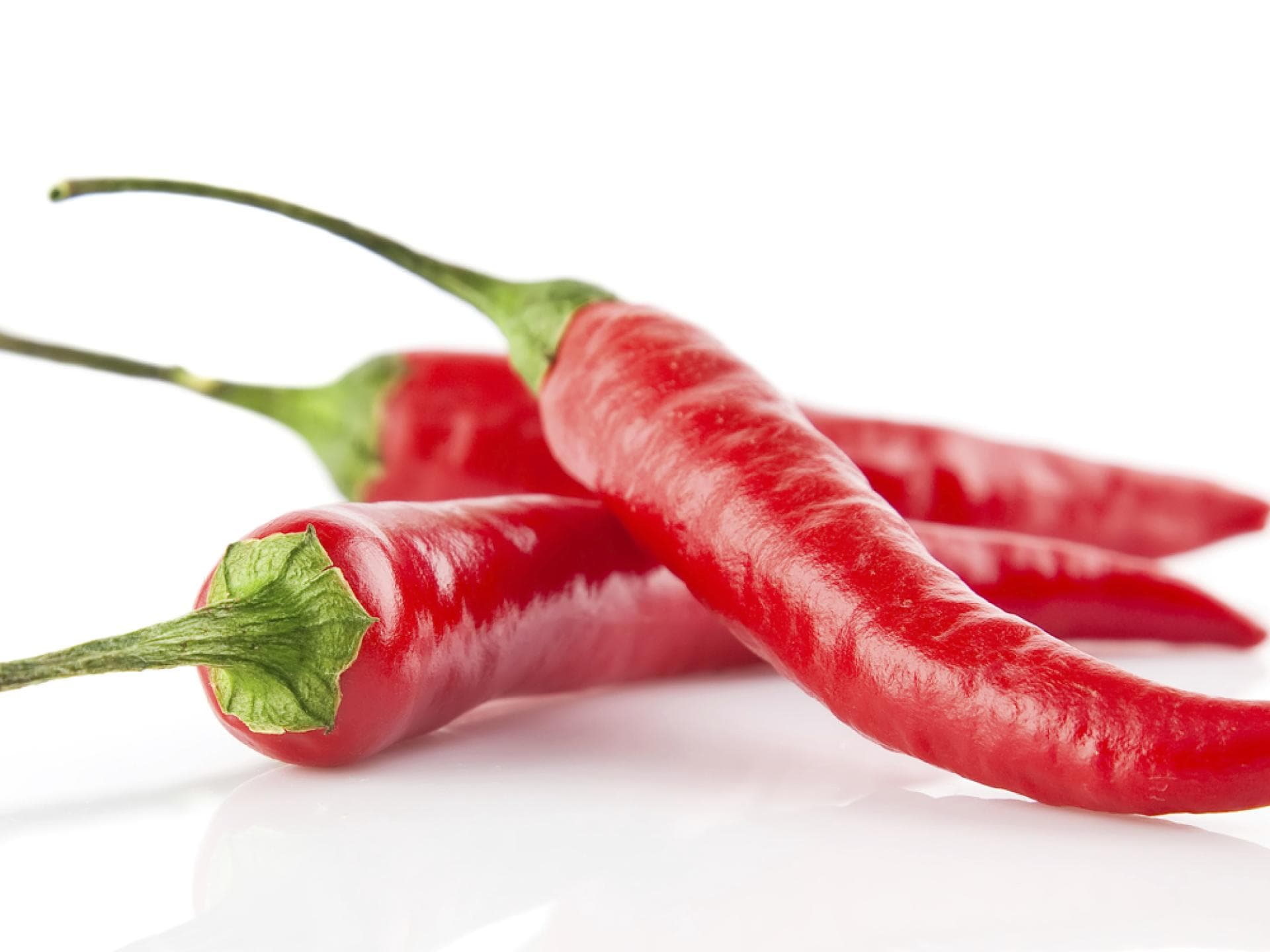 Chili-Schote Pepperoni Paprikagewächs scharf Lustmacher