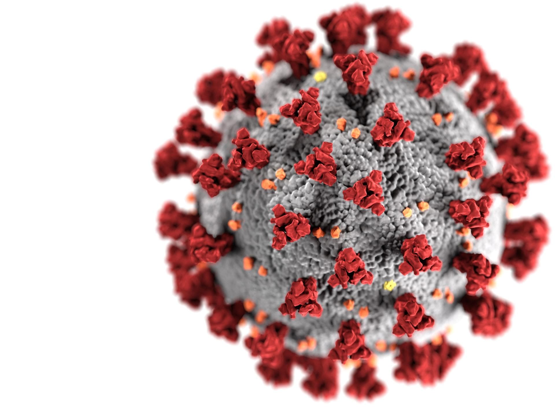 Coronavirus Coronavirus in seiner Struktur