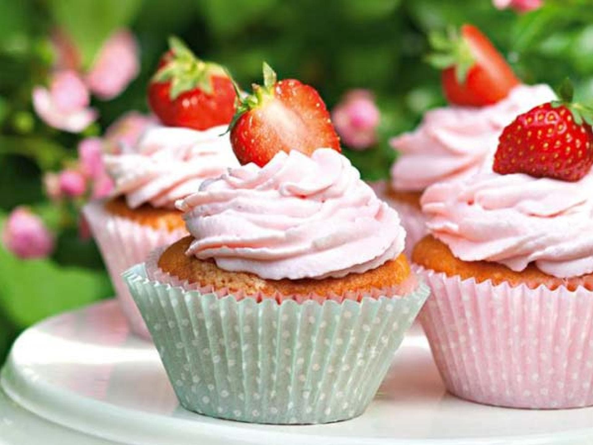Cupcakes mit Frischkäse Topping