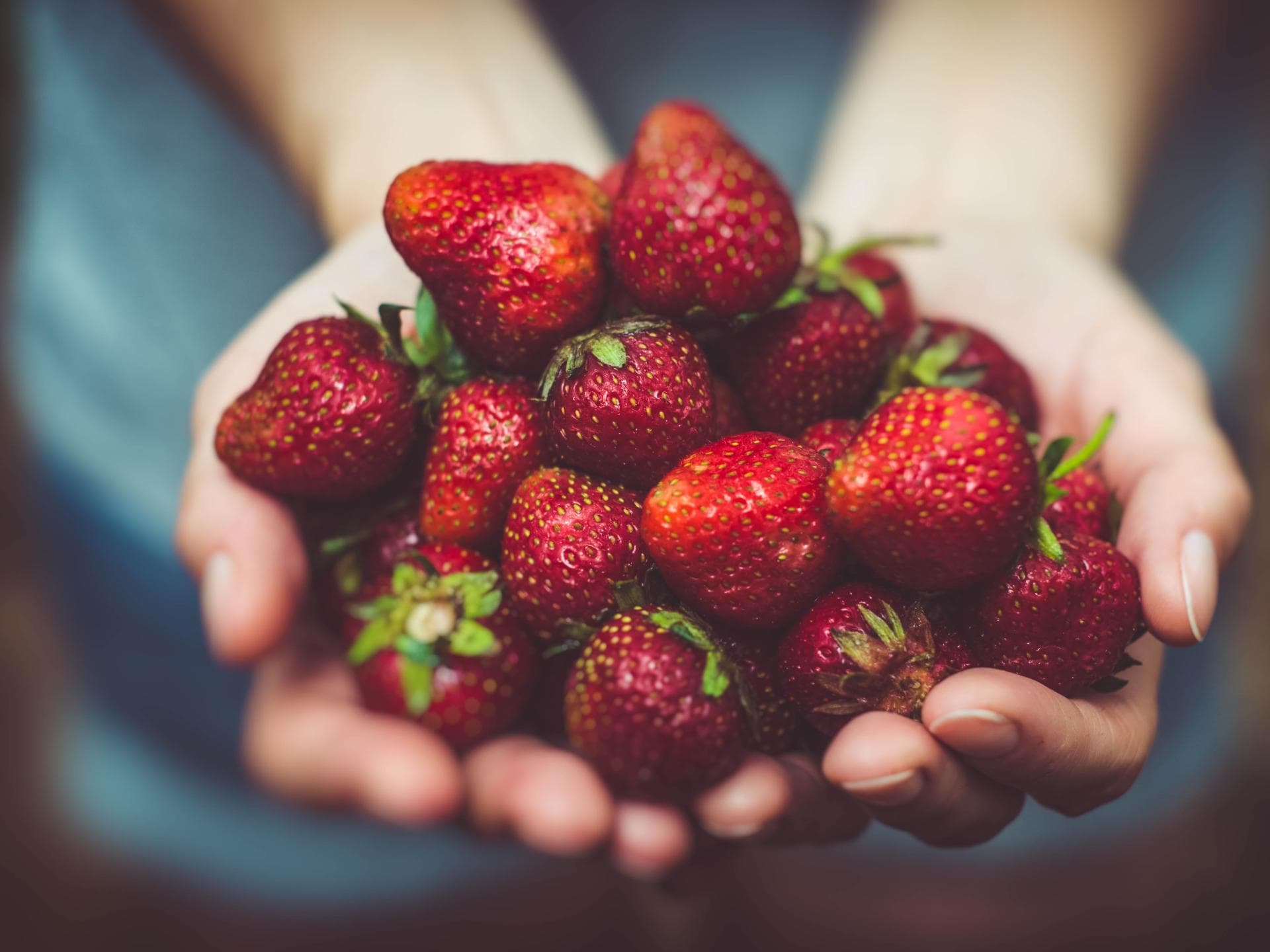 Erdbeeren