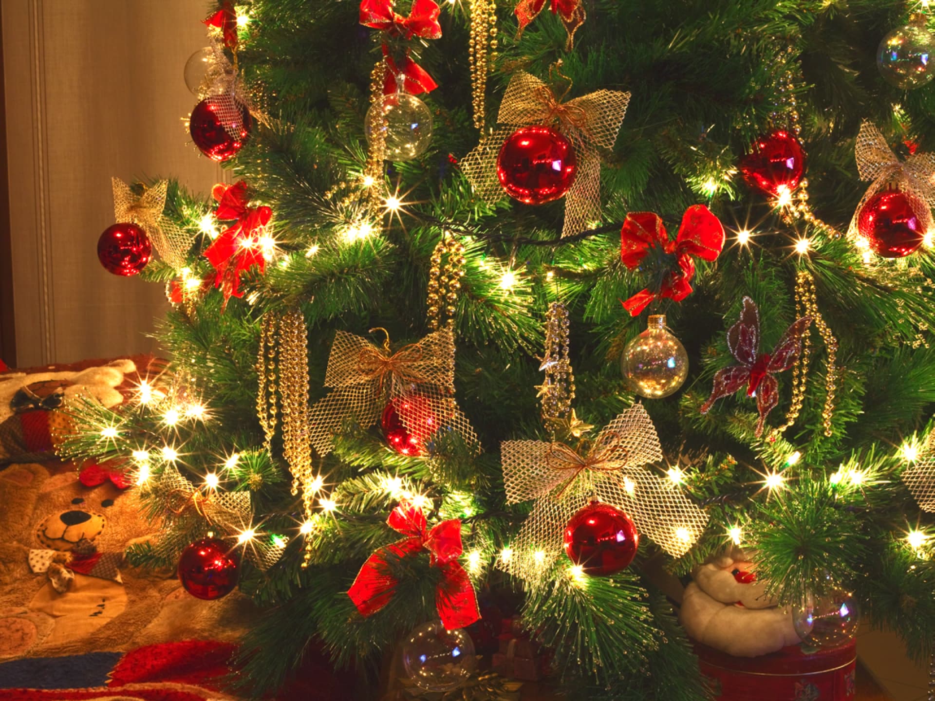 Weihnachtsbaum Weihnachtsbaum