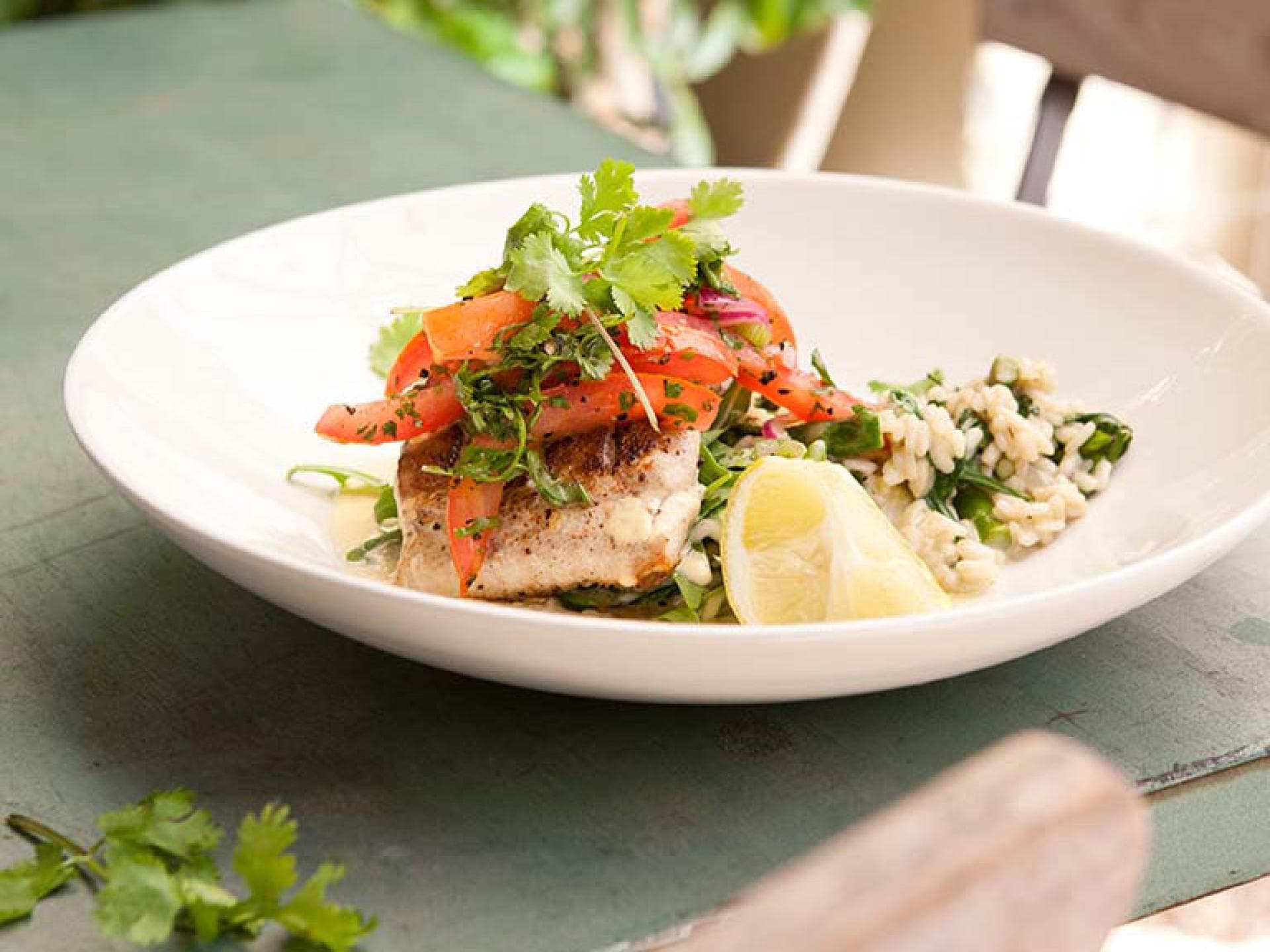 Fischfilet mit Spinatrisotto und Tomatensalsa