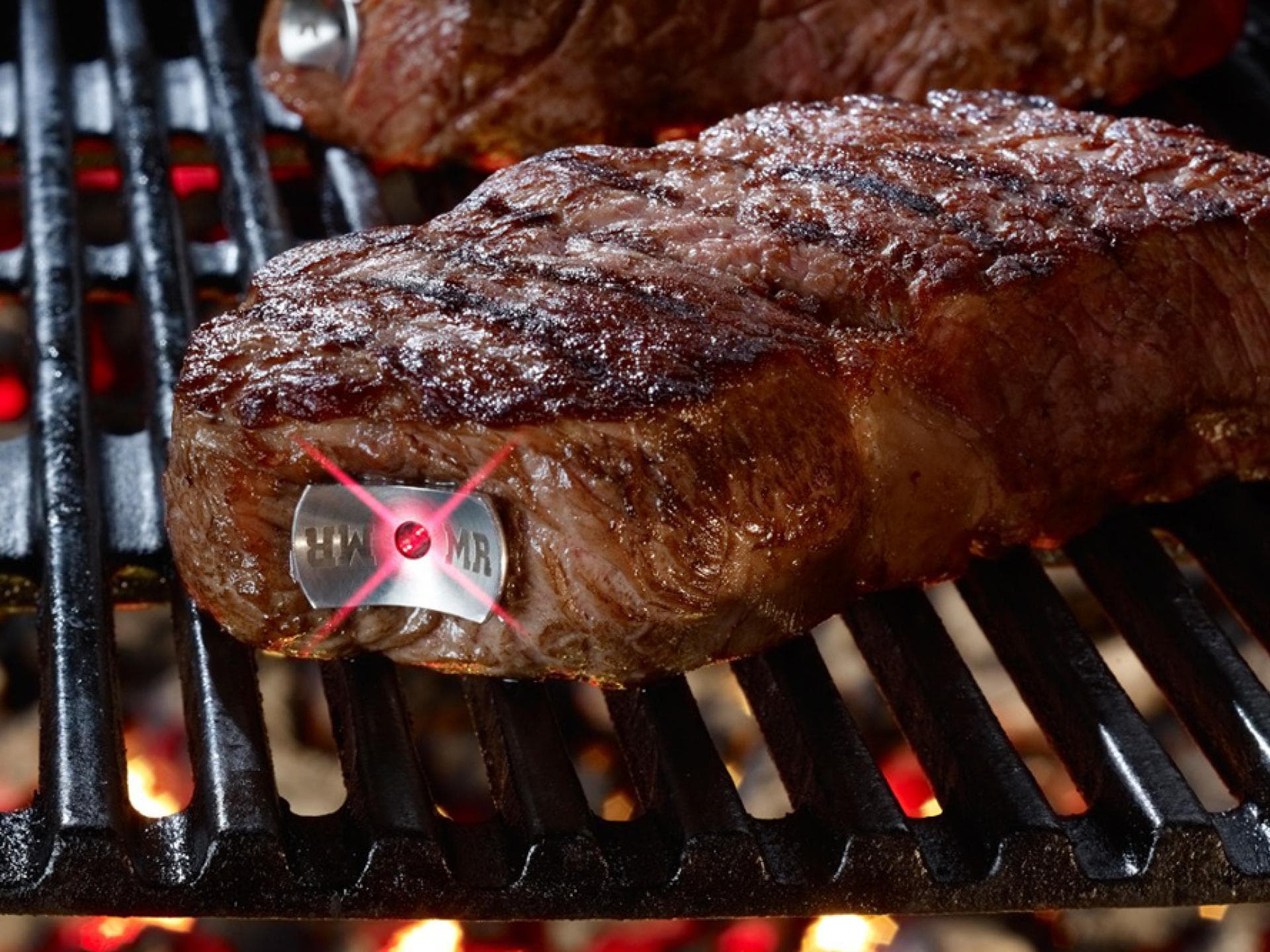 Fleisch-Thermometer Fleisch-Thermometer