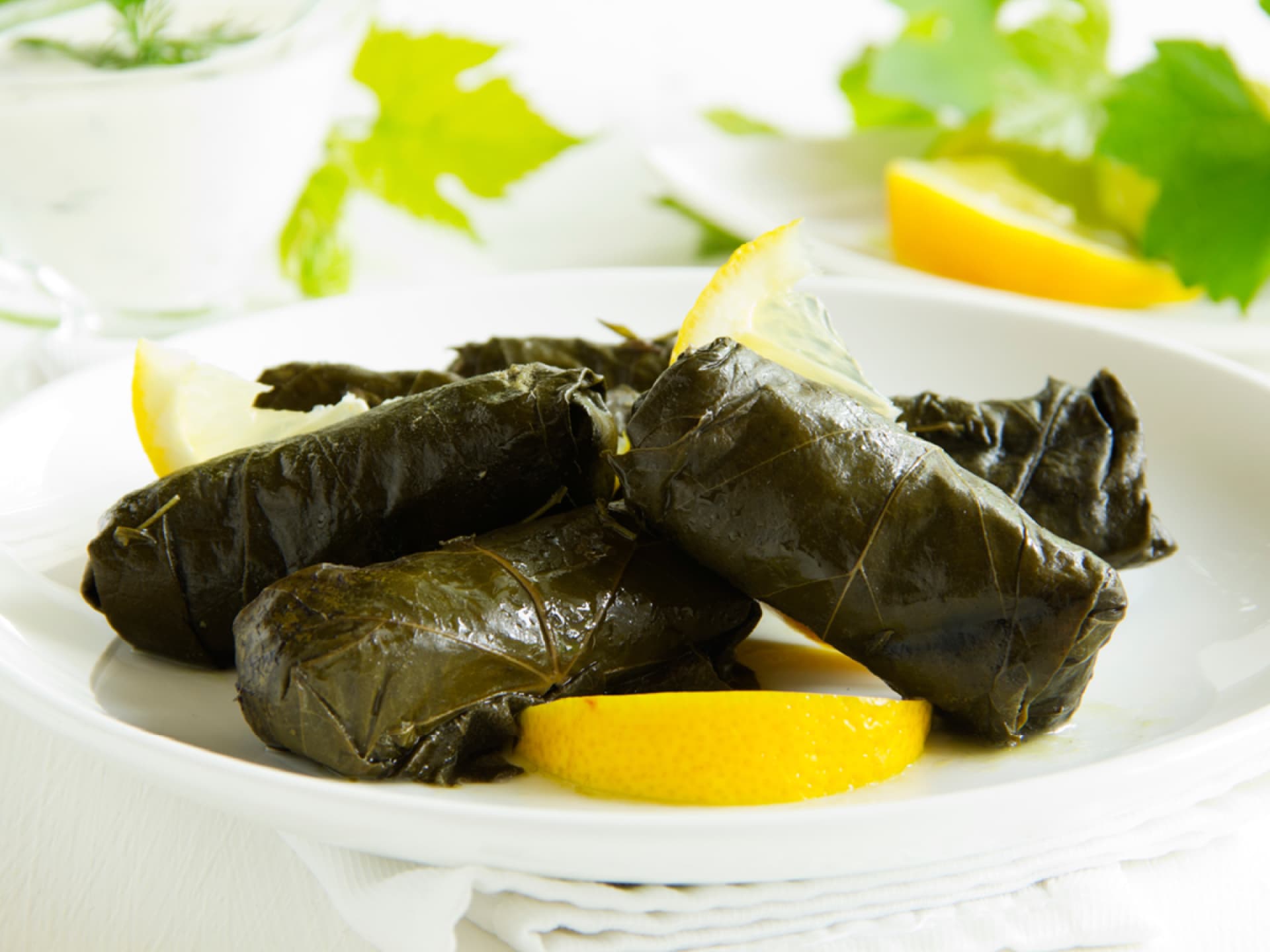 Weinblätter-Röllchen türkischer Art