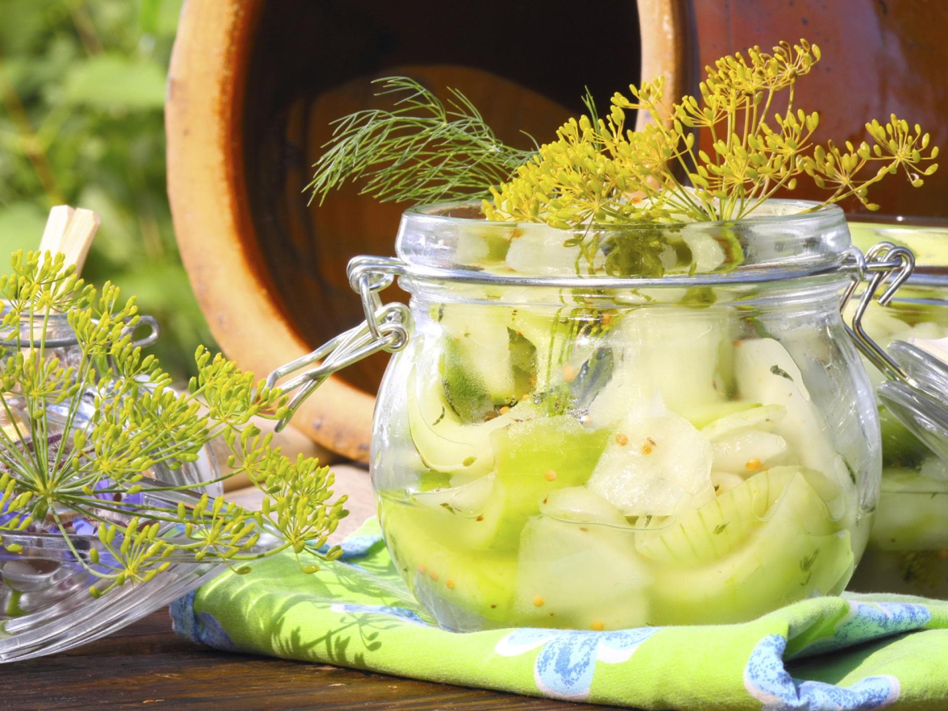 Gurken einlegen - Wir zeigen Ihnen, wie Sie Gurken selbst einlegen können und stellen Ihnen tolle Rezepte vor