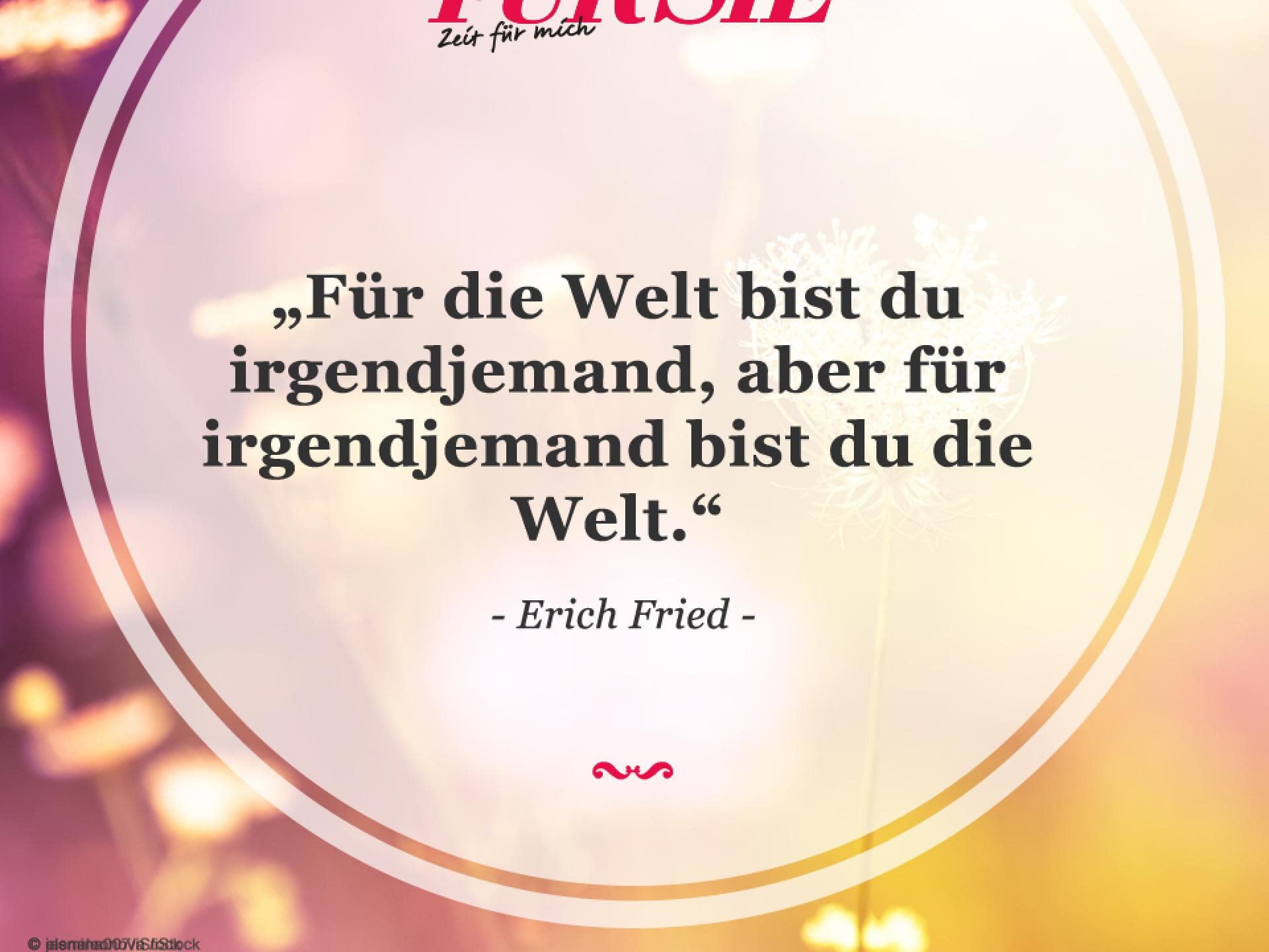Spruch des Tages