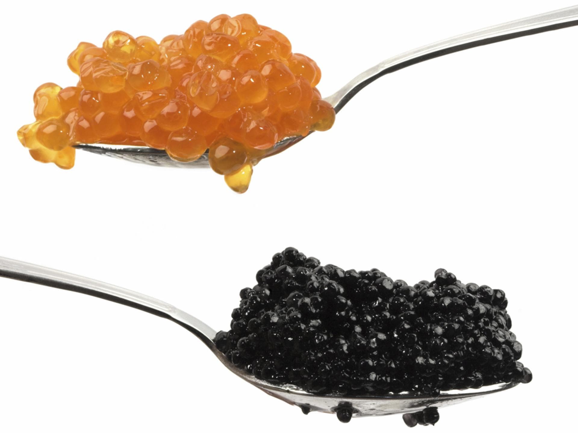 Kaviar Lustmacher Aphrodisiakum Proteine Meeresfrüchte Shrimps Muscheln Austern