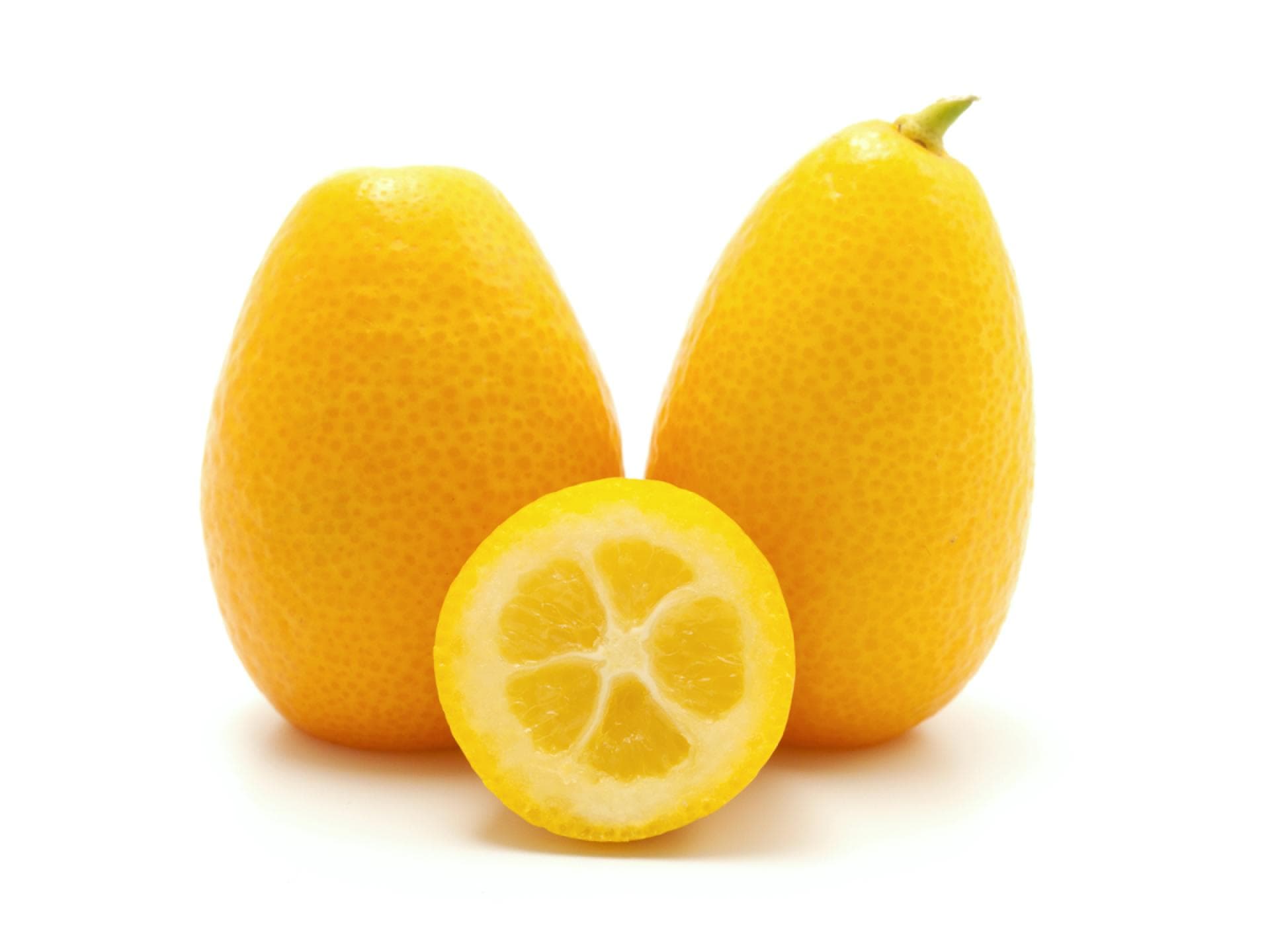 Kumquat
