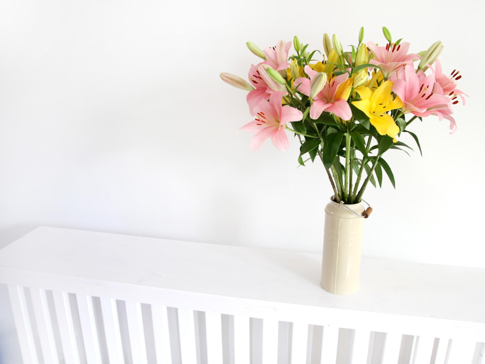 Lilien Vase - Ob Glasvasen, Designer-Vasen oder schlichte Vasen, wir zeigen Ihnen, welche Blumen sich in den Vasen besonders schön machen
