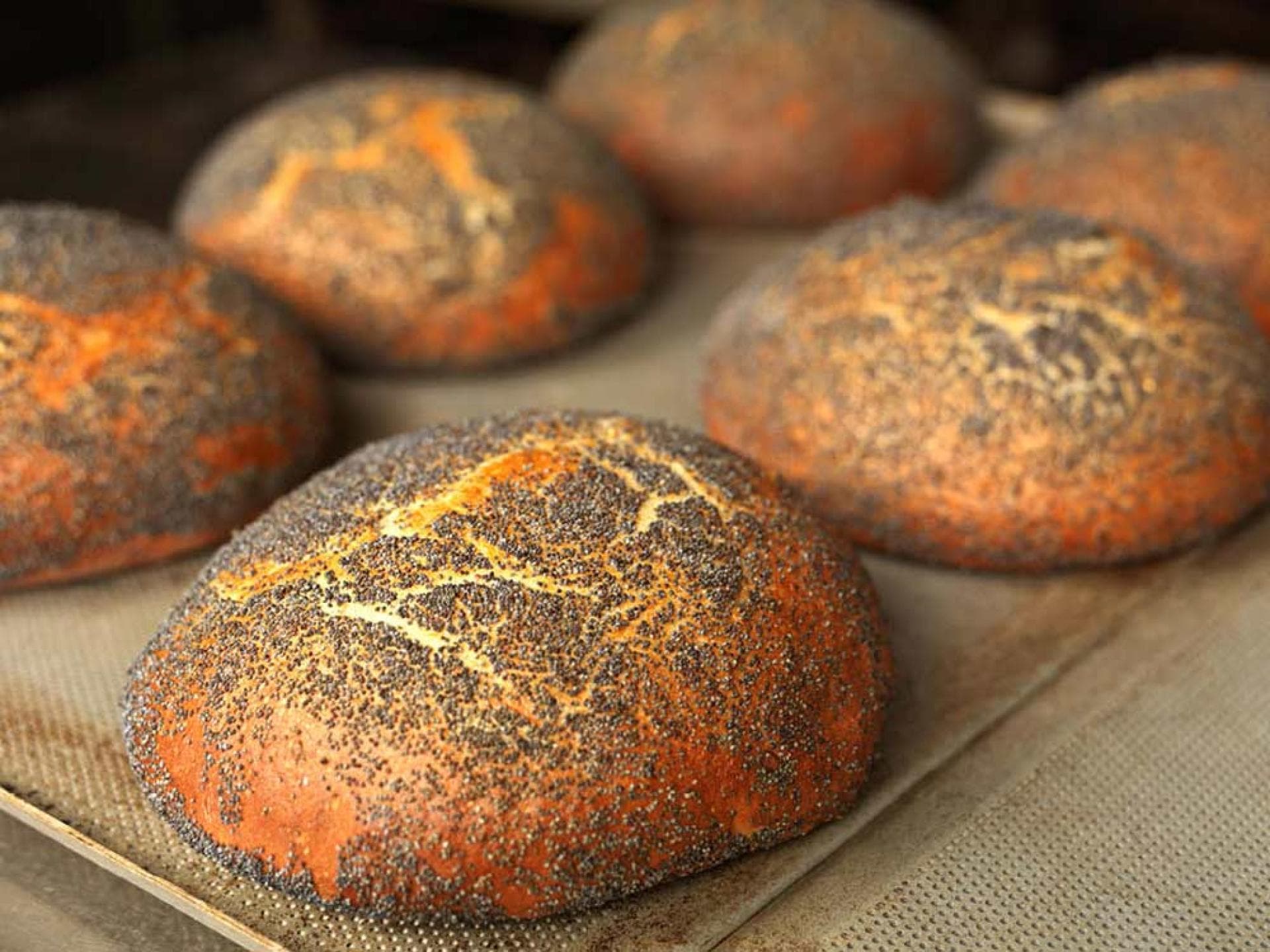 Mohnbrötchen