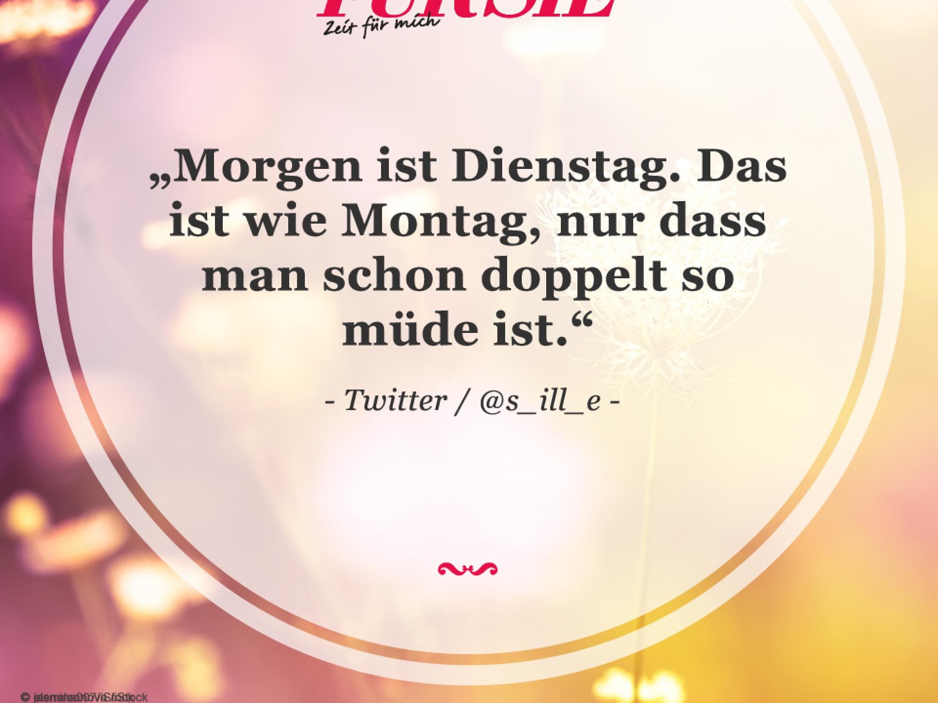 Spruch des Tages