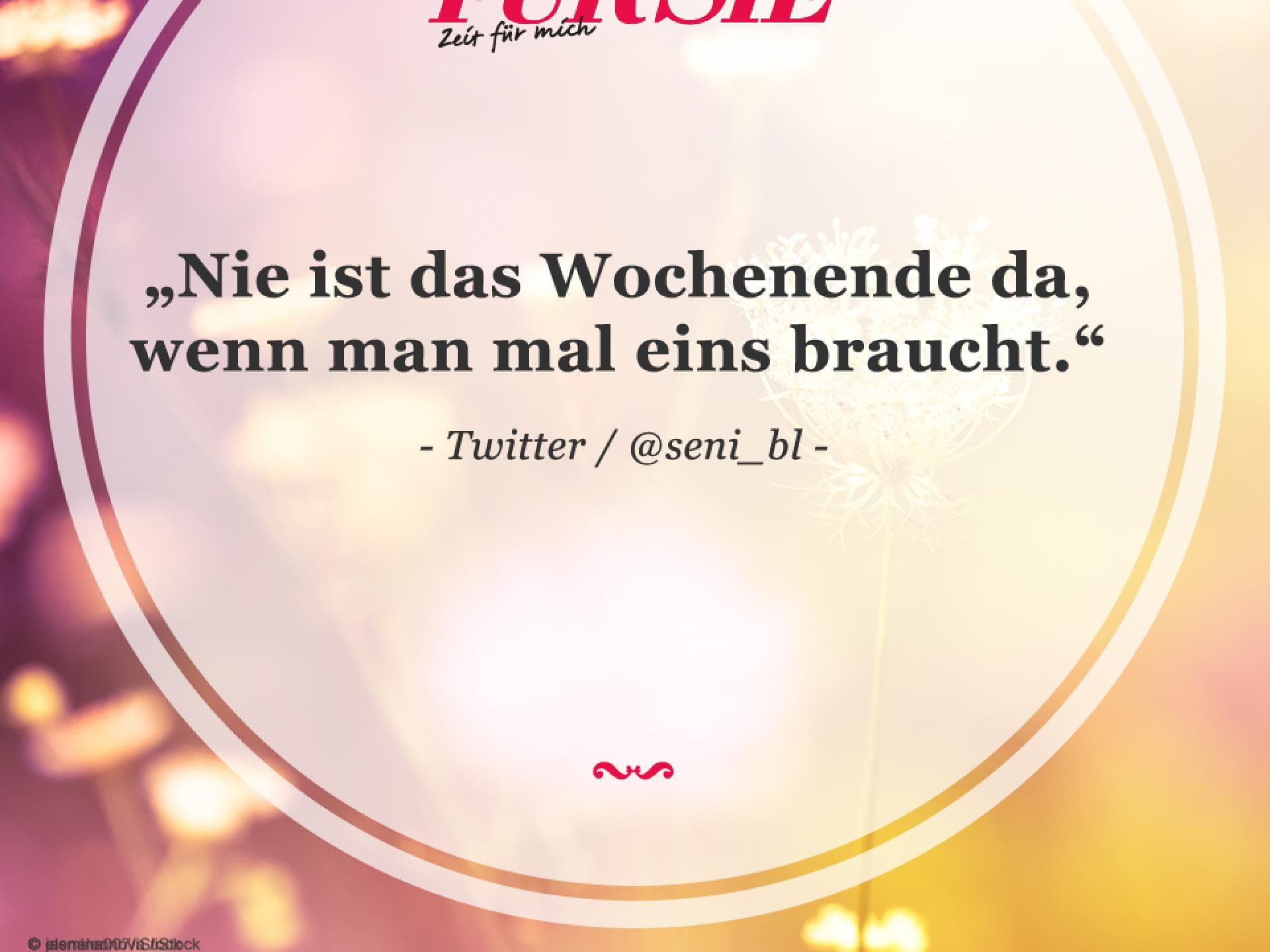 Spruch des Tages