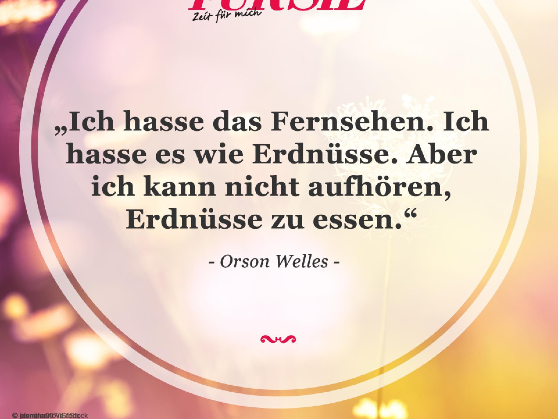 Spruch des Tages
