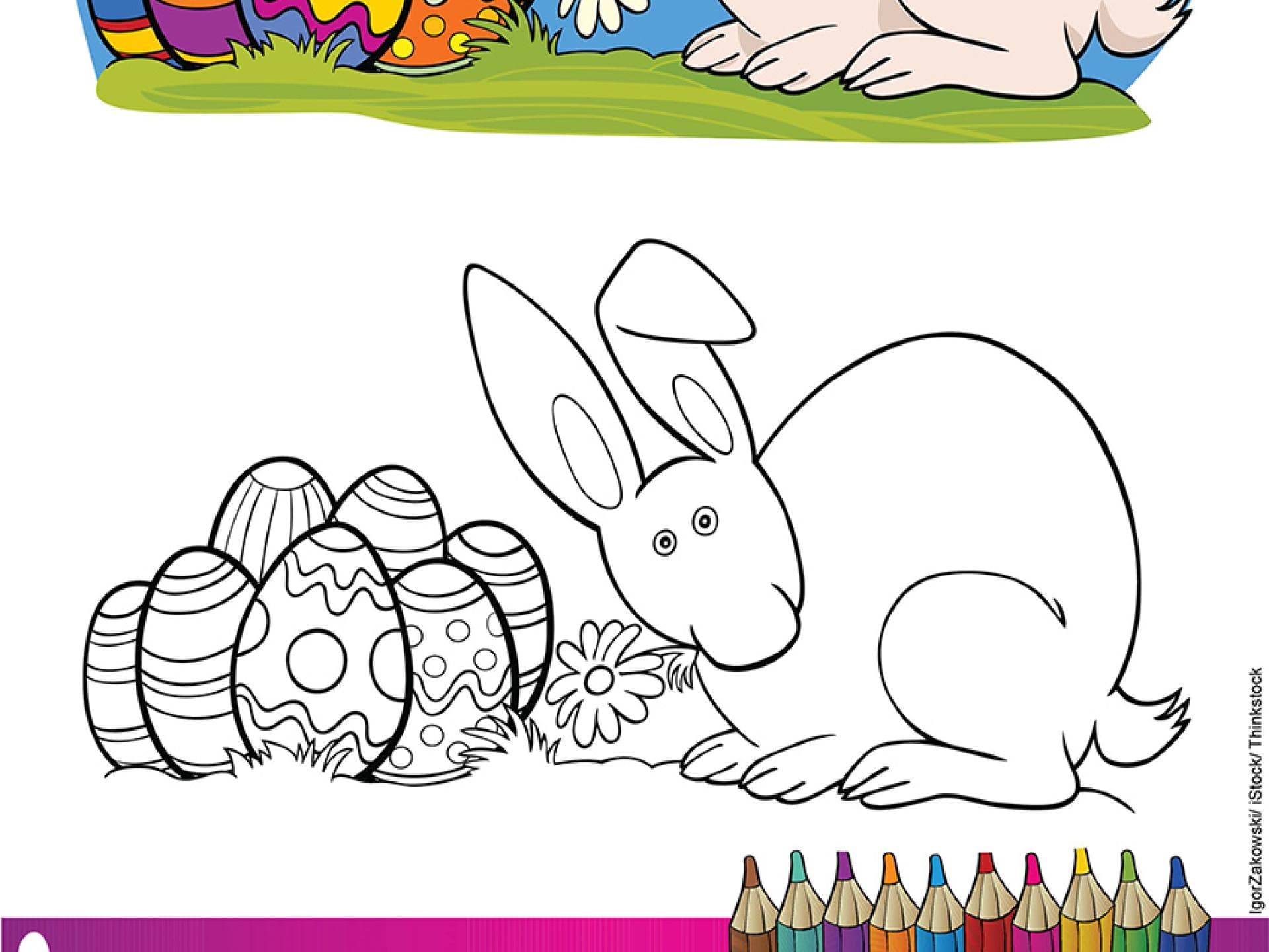 Malvorlage Hungriger Hase