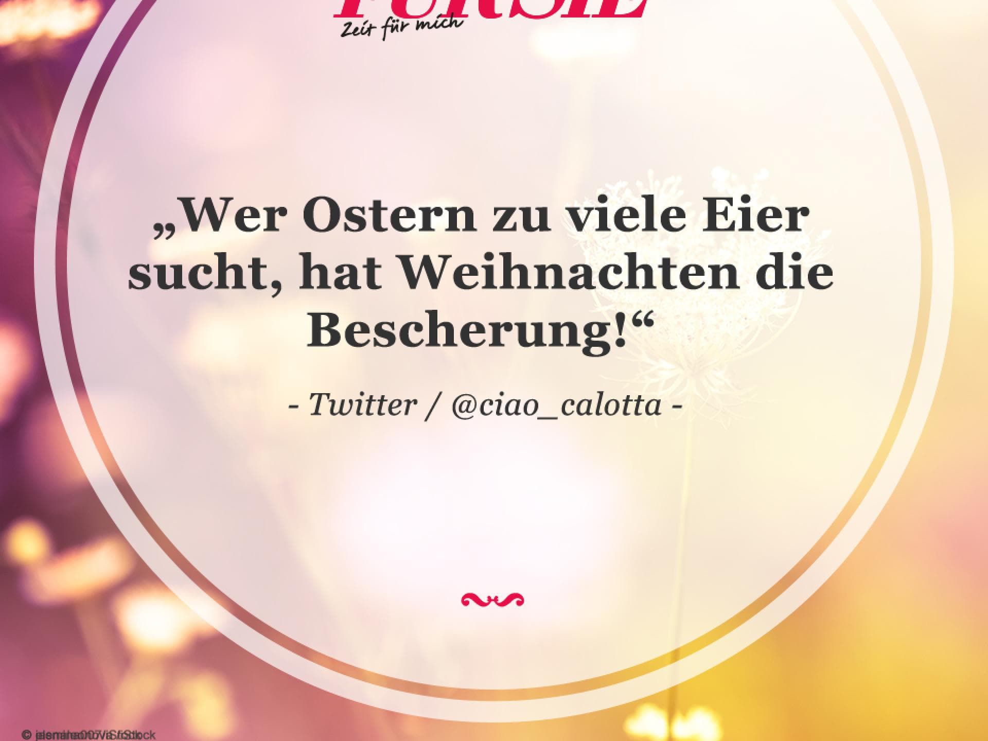 Spruch des Tages