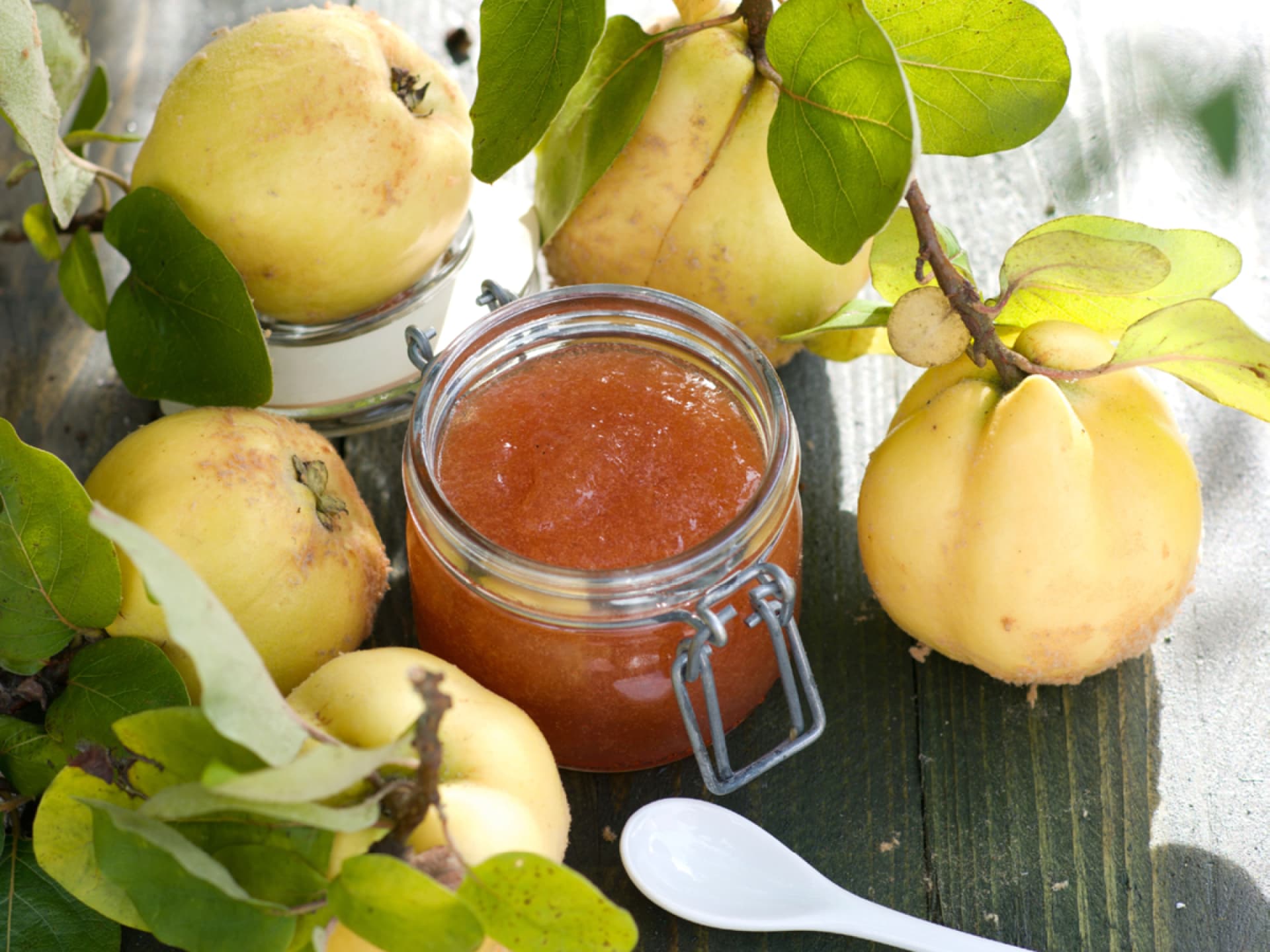 Quittenmus im Glas umgeben von Quitten