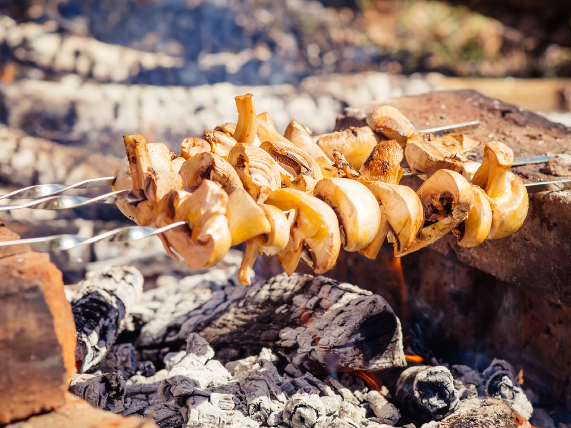 Champignonspieße über der Glut