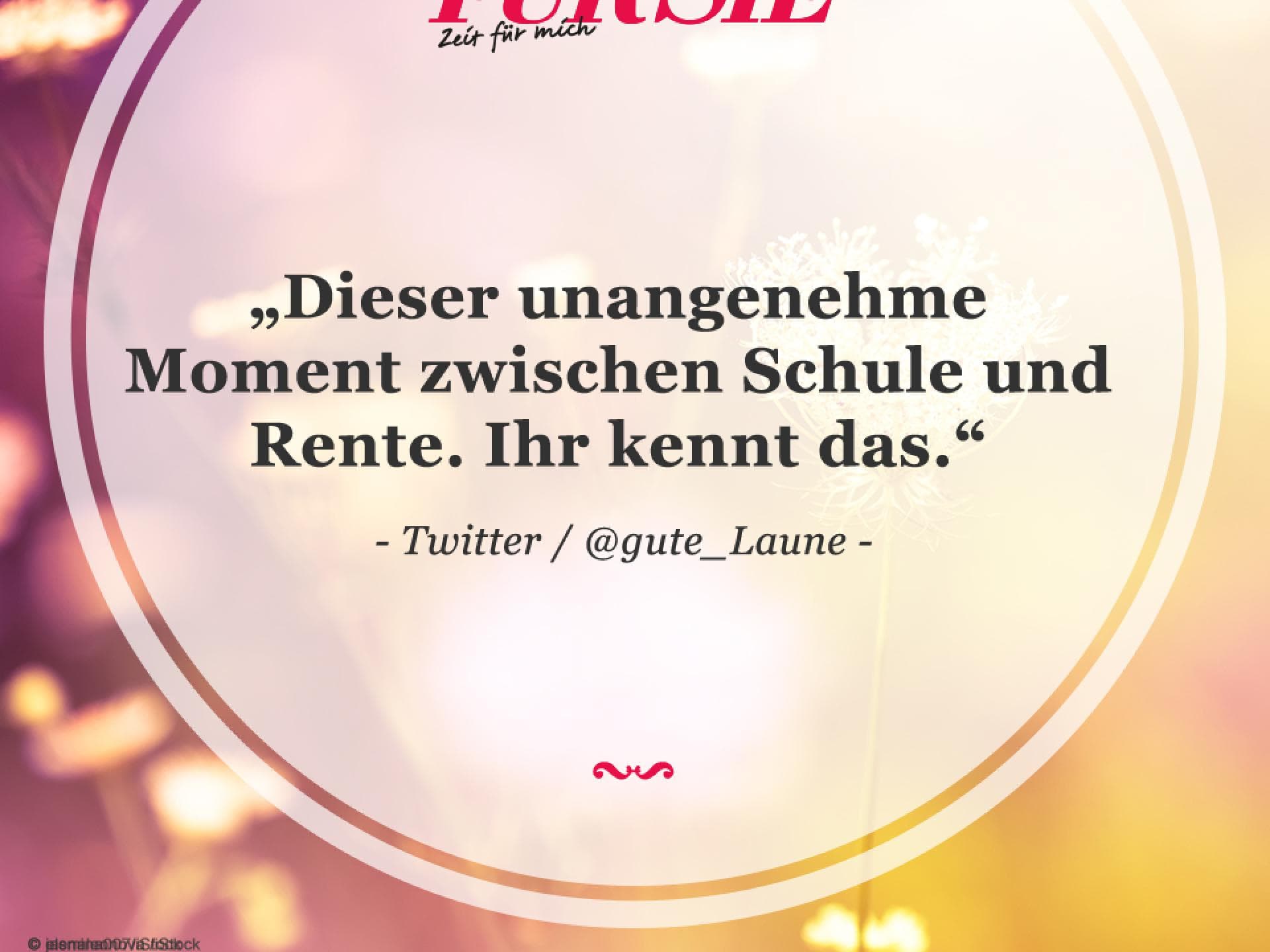 Spruch des Tages