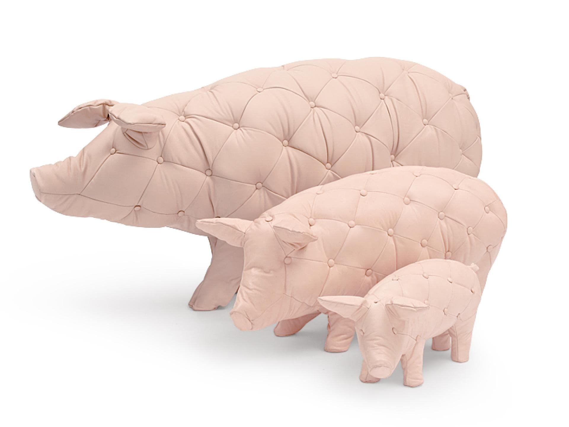 Schweine Yvonne Fehling