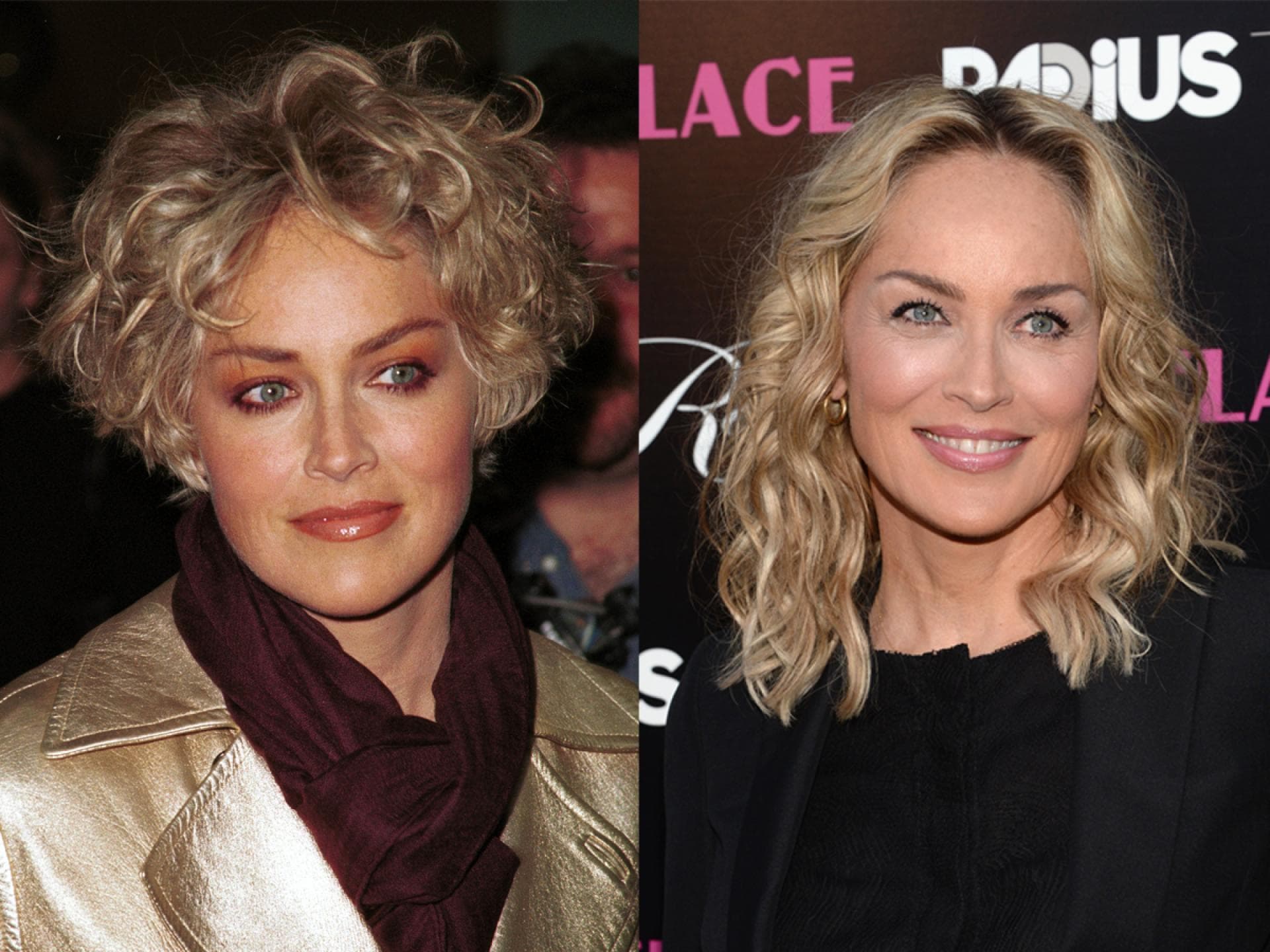 Sharon Stone