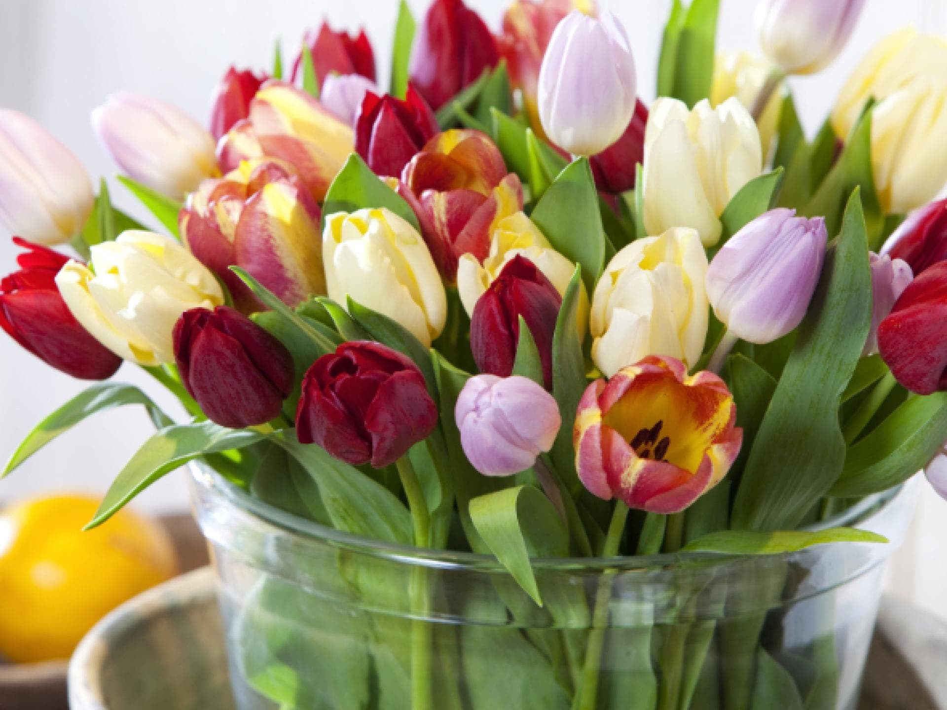 So bleiben Ihre Schnittblumen lange frisch: Tulpen in einer Vase