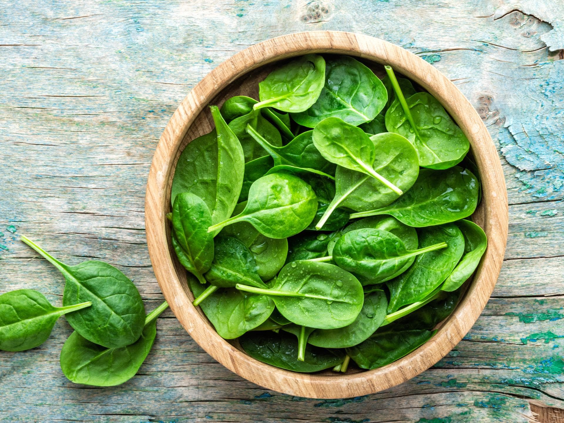 Spinat zubereiten: Infos und Tipps Spinat zubereiten: Infos und Tipps
