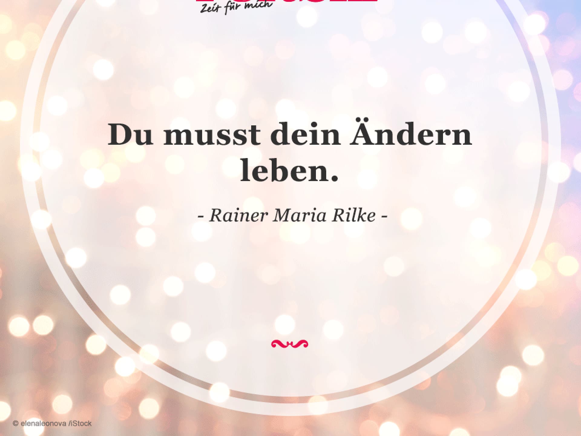 Spruch des Tages
