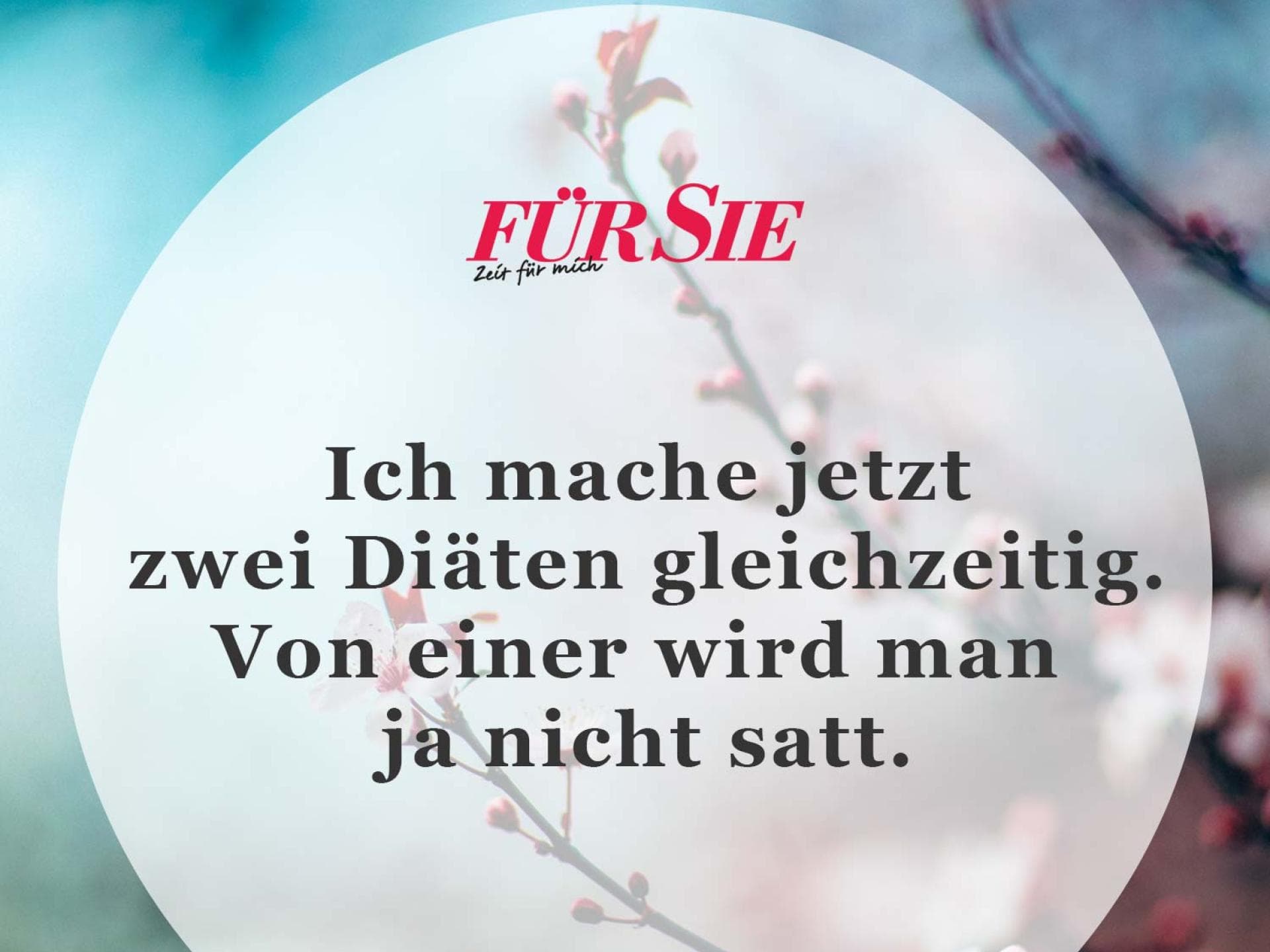Spruch des Tages Spruch des Tages