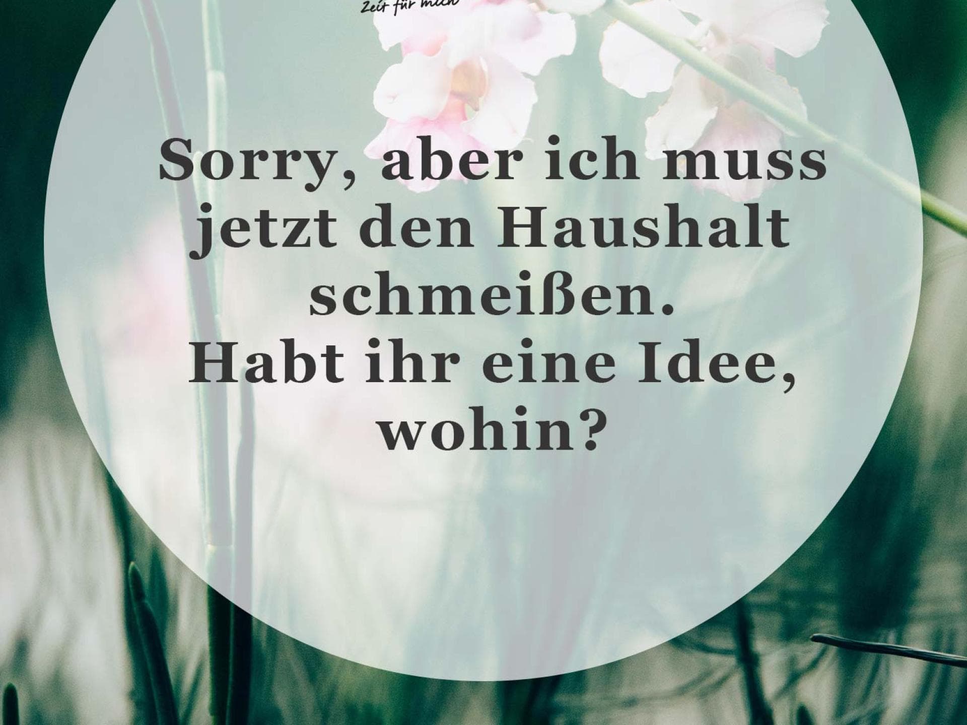 Spruch des Tages Spruch des Tages