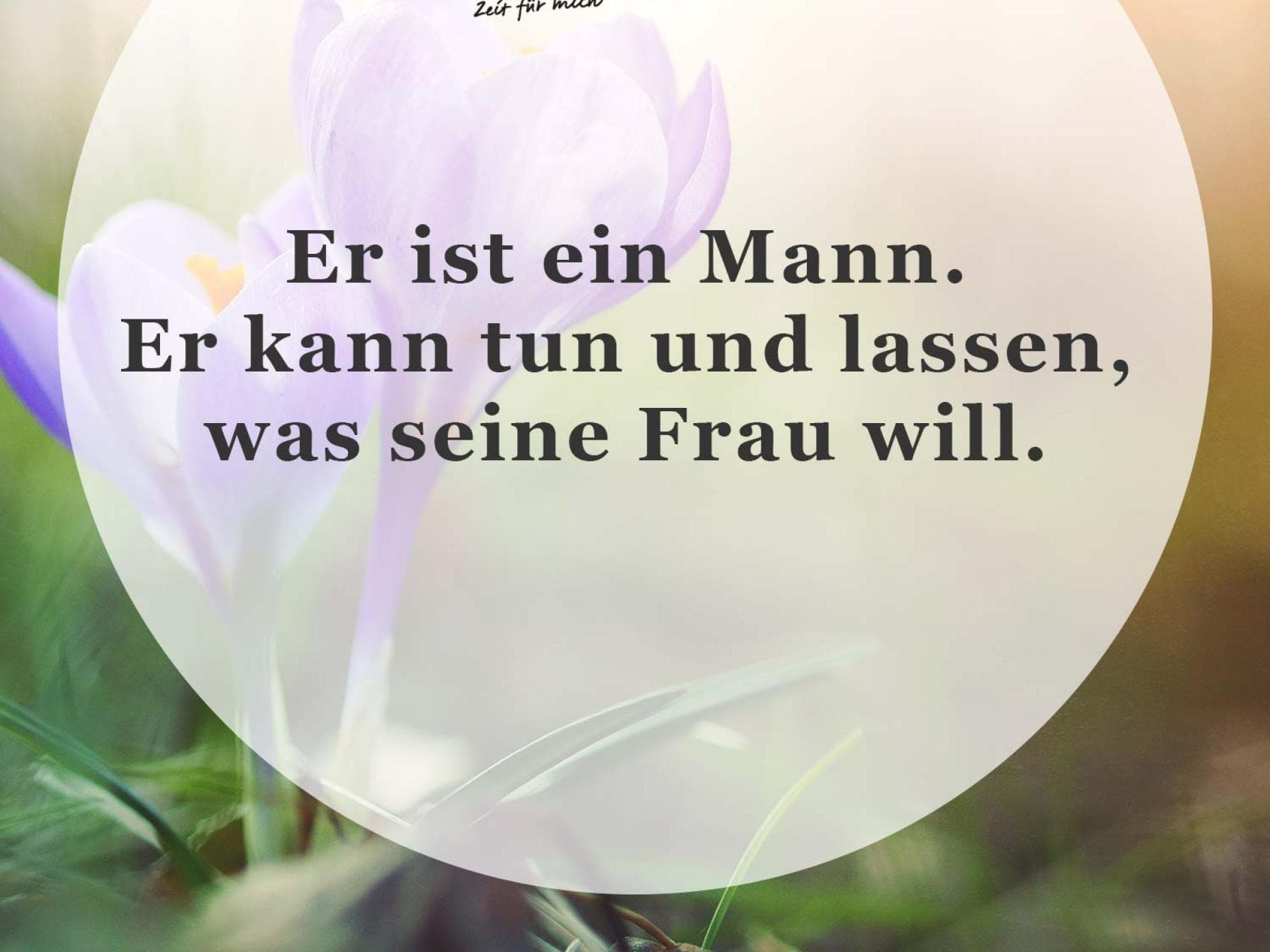 Spruch des Tages Spruch des Tages