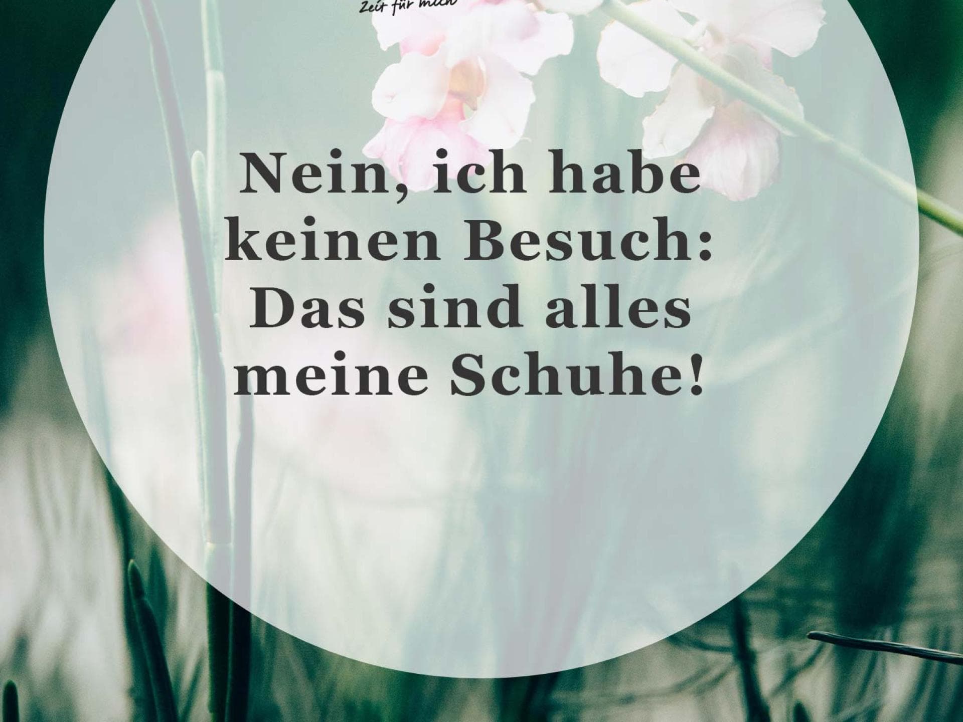 Spruch des Tages Spruch des Tages