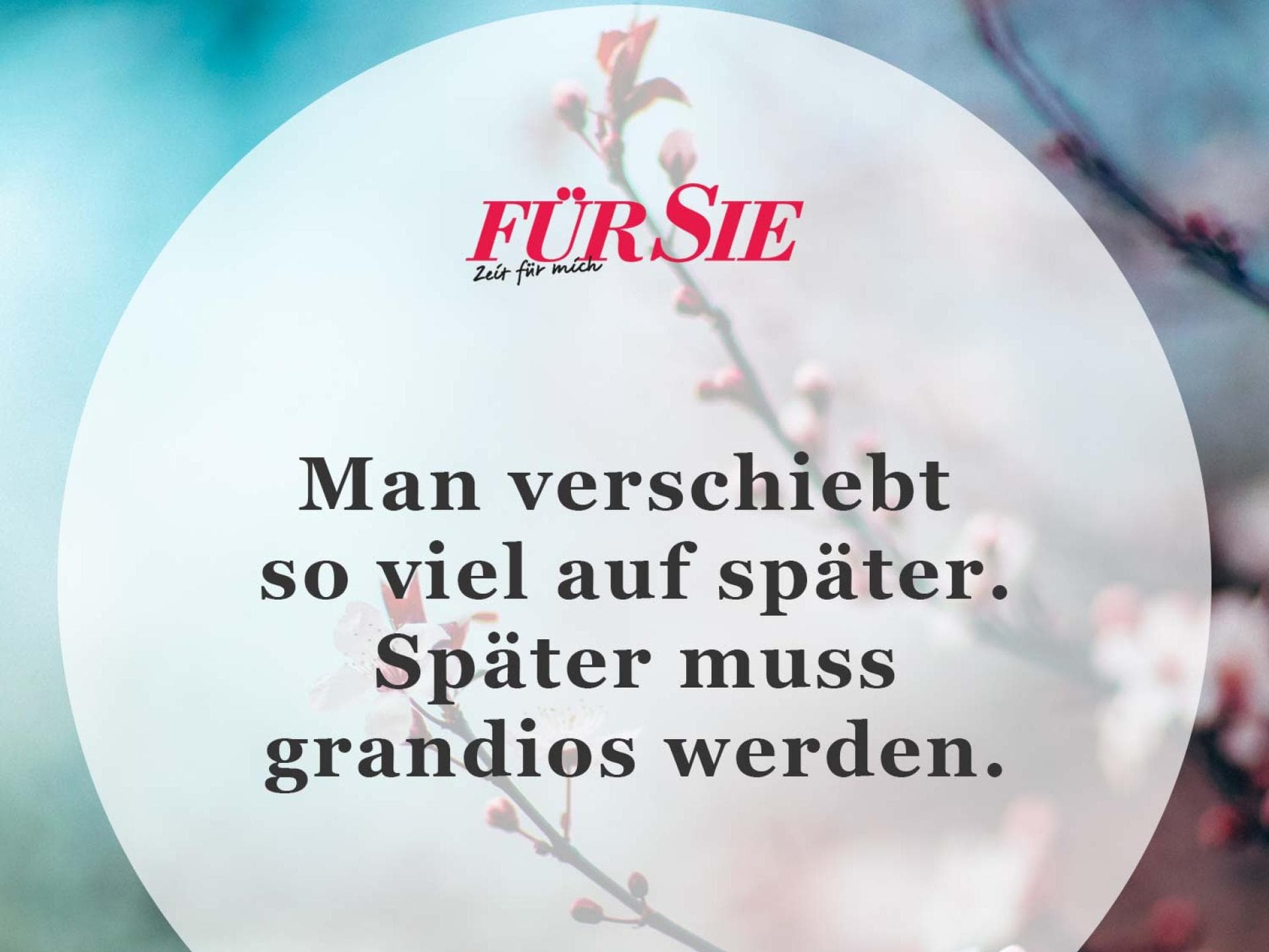 Spruch des Tages Spruch des Tages