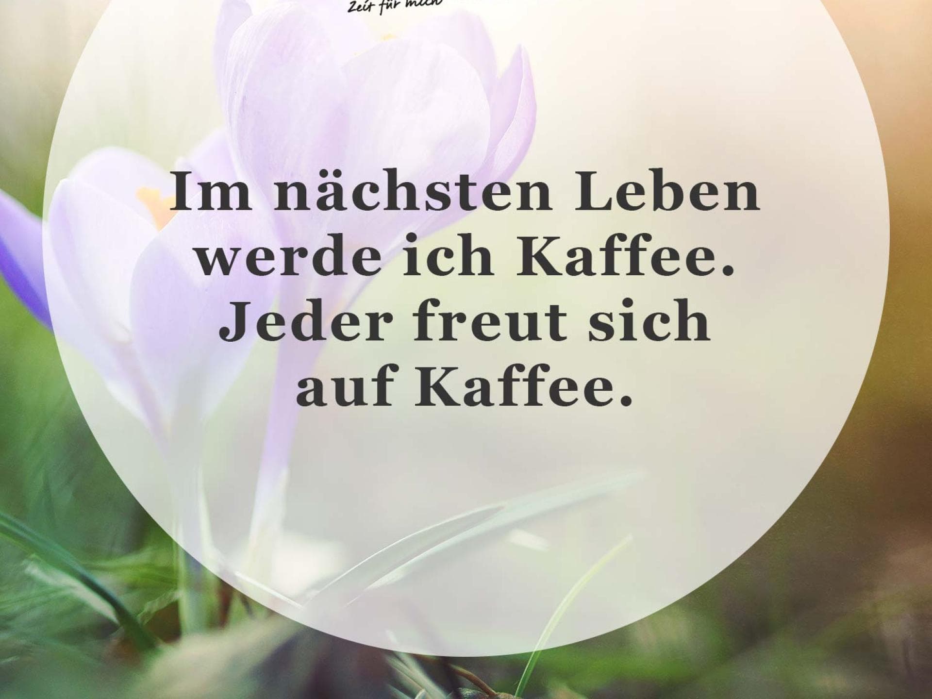 Spruch des Tages Spruch des Tages