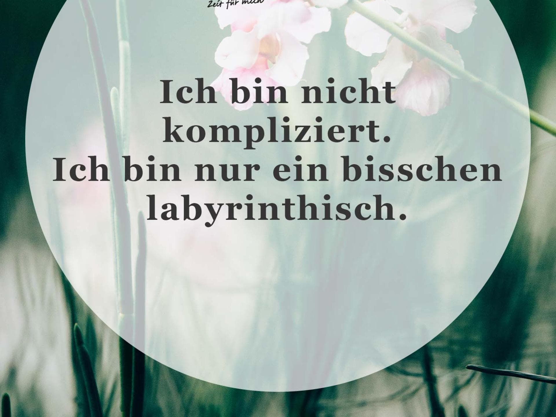 Spruch des Tages Spruch des Tages
