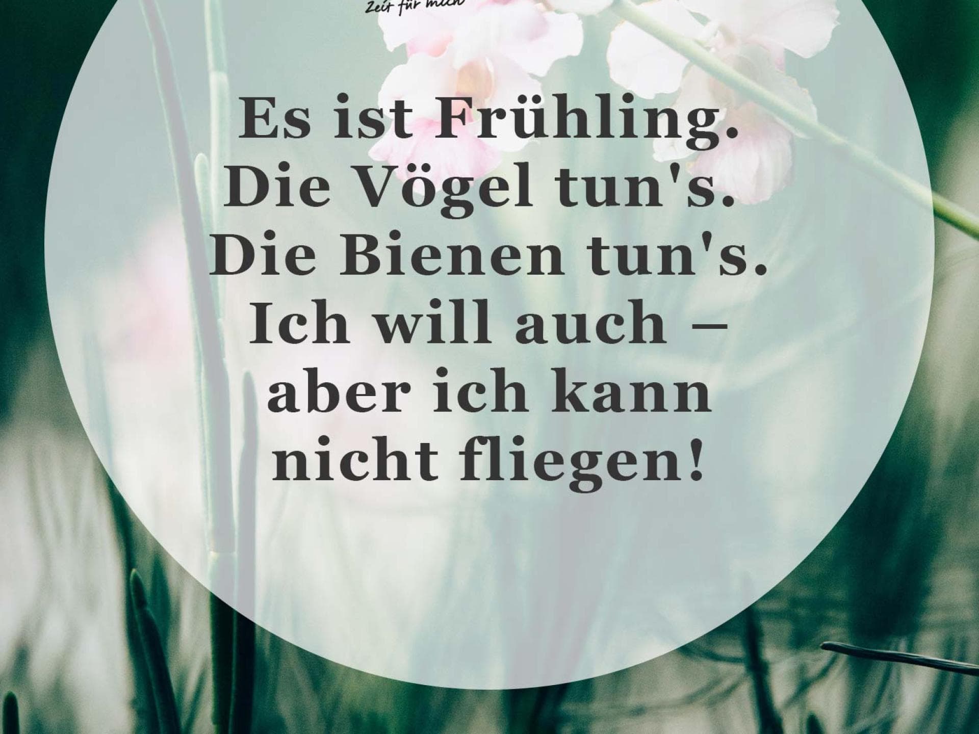 Spruch des Tages Spruch des Tages
