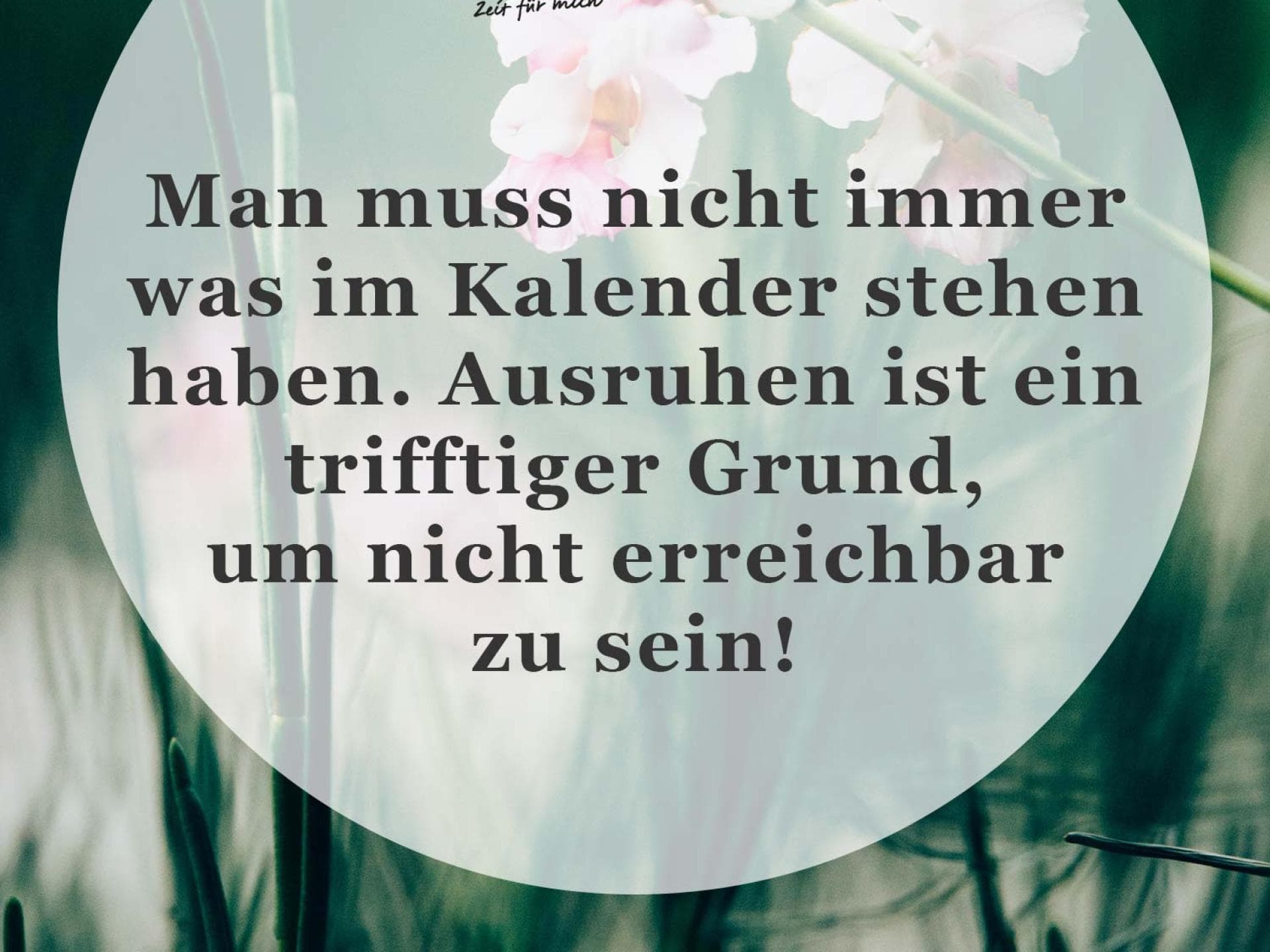 Spruch des Tages Spruch des Tages
