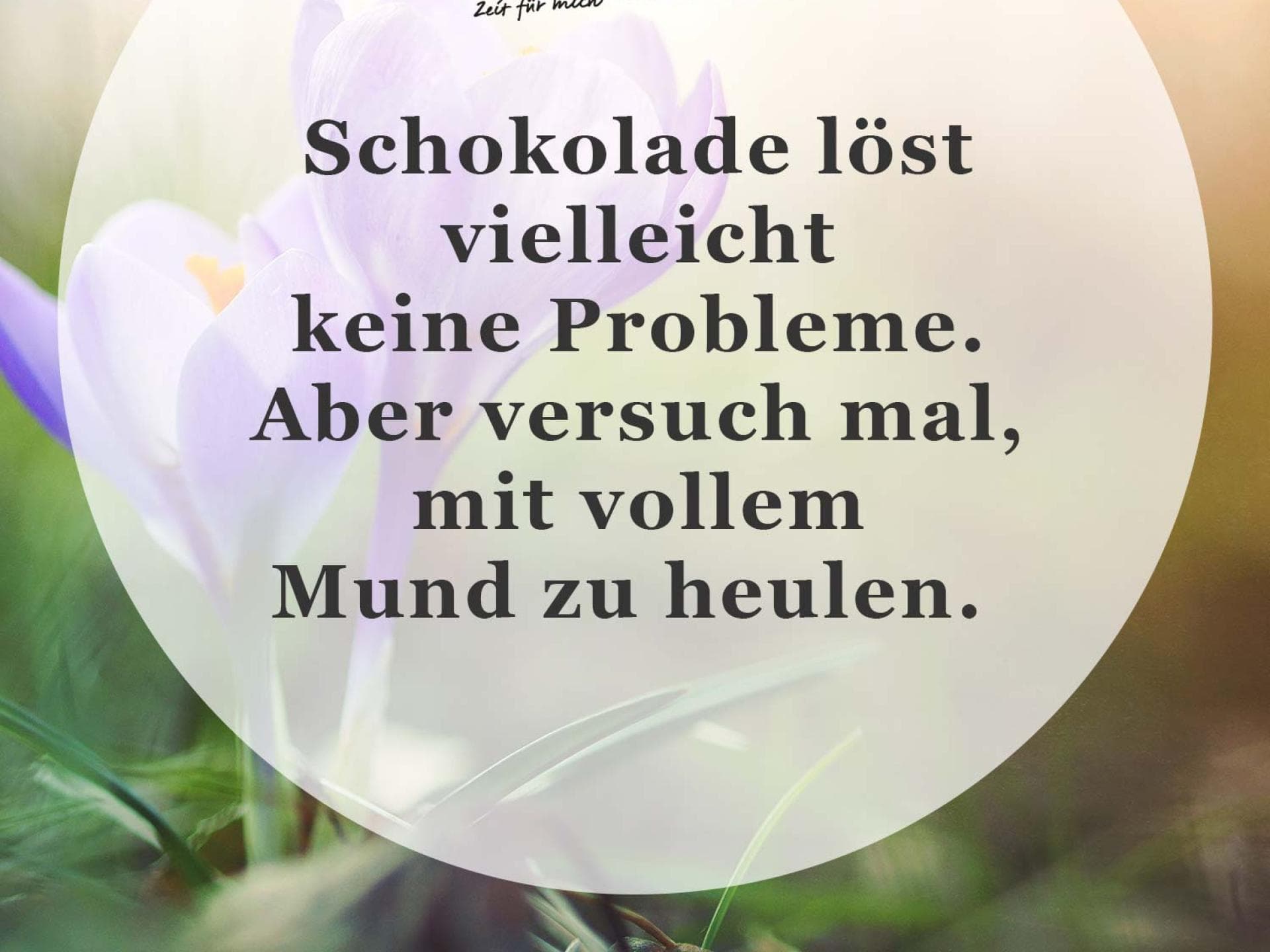 Spruch des Tages Spruch des Tages