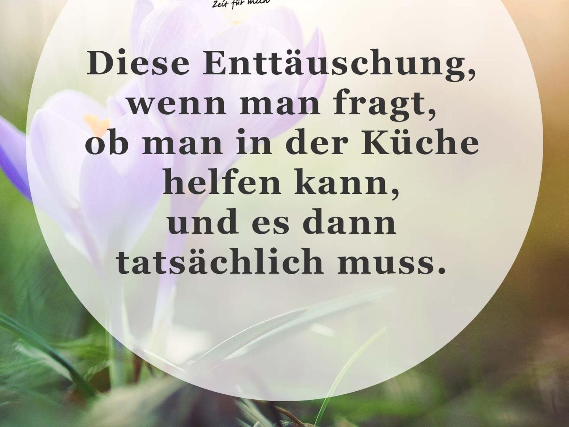 Spruch des Tages Spruch des Tages