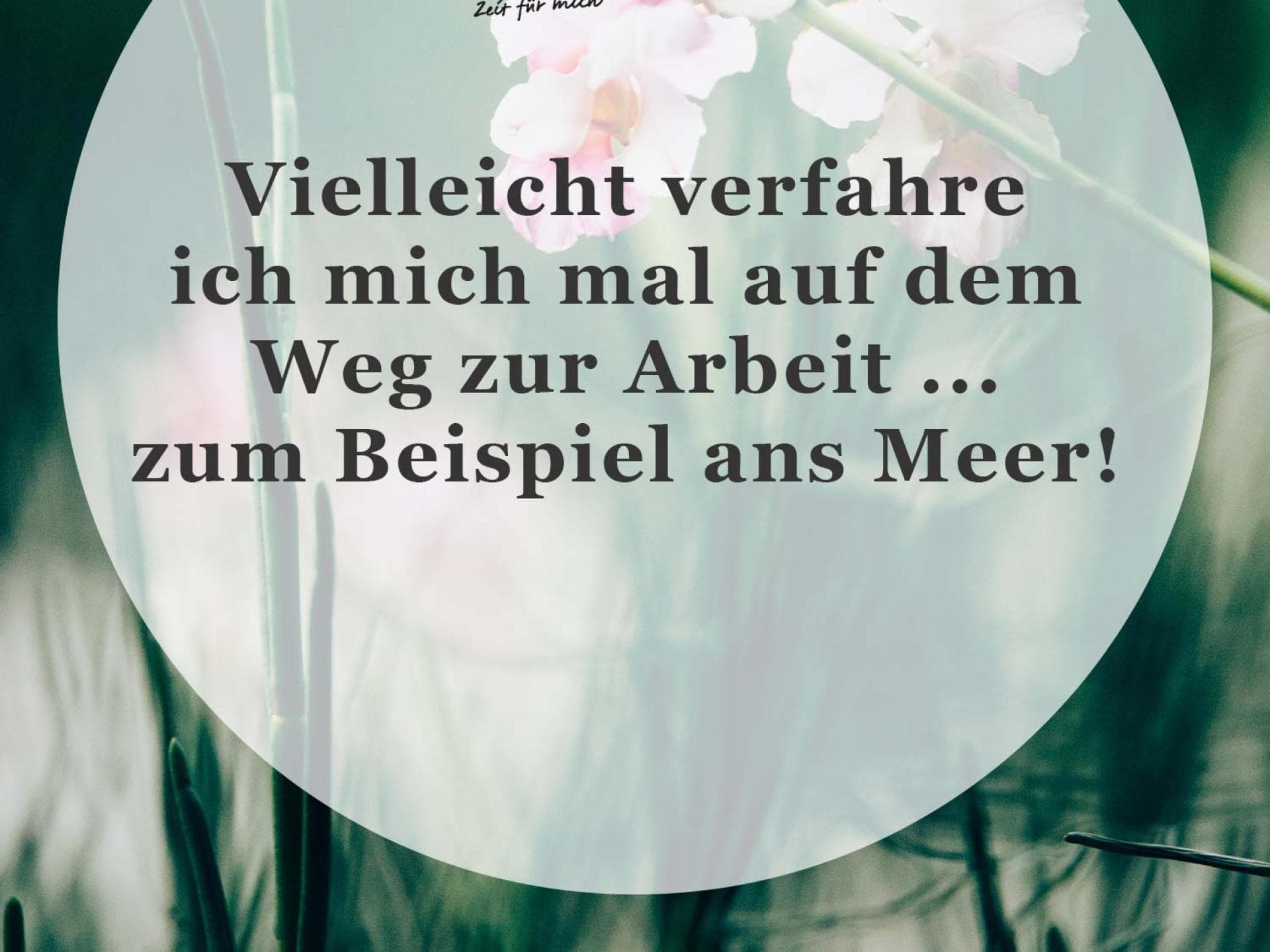 Spruch des Tages Spruch des Tages