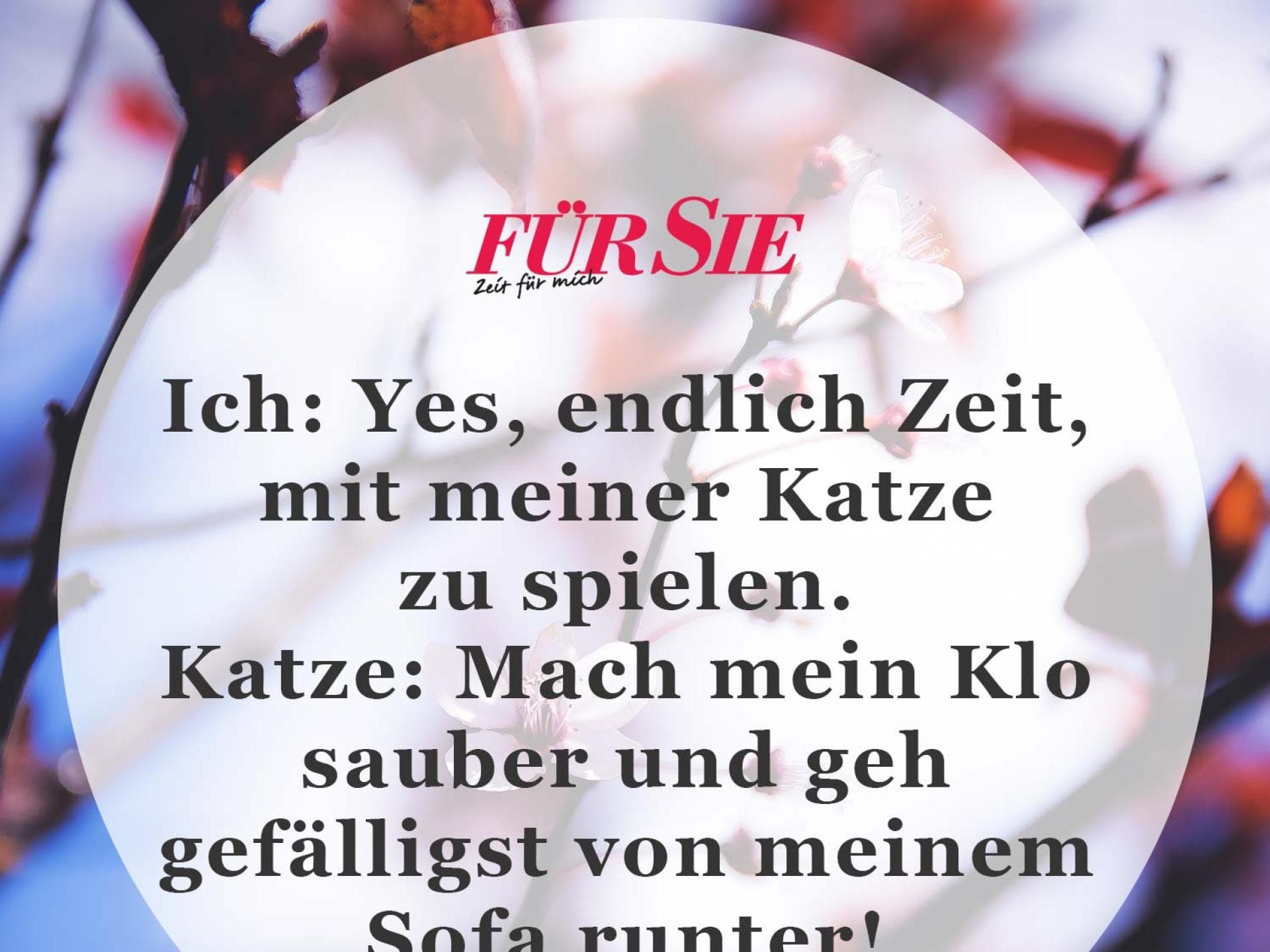 Spruch des Tages Spruch des Tages