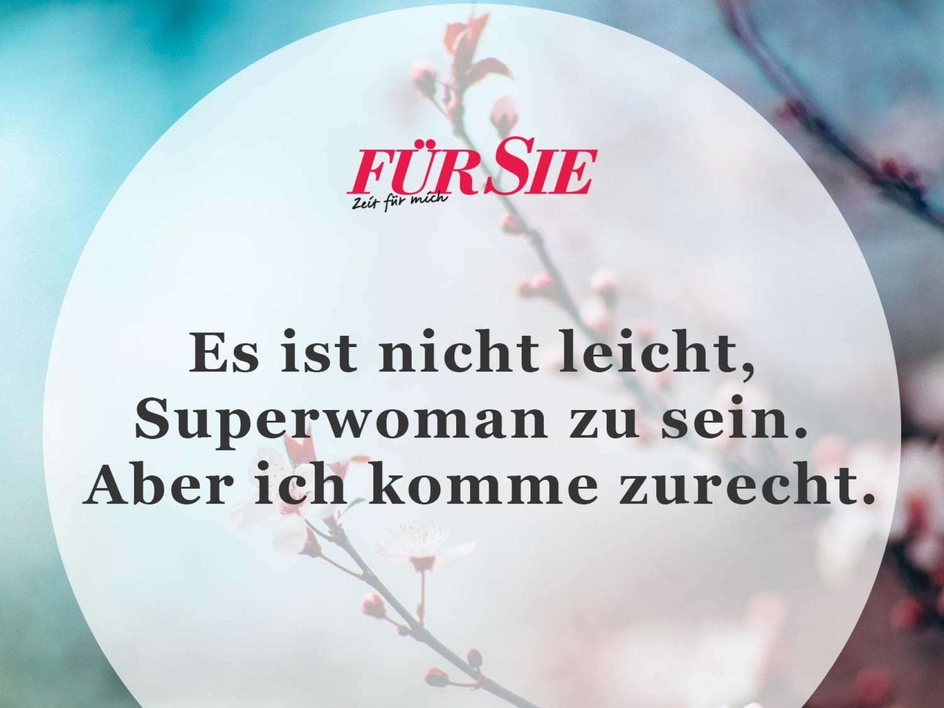 Spruch des Tages Spruch des Tages