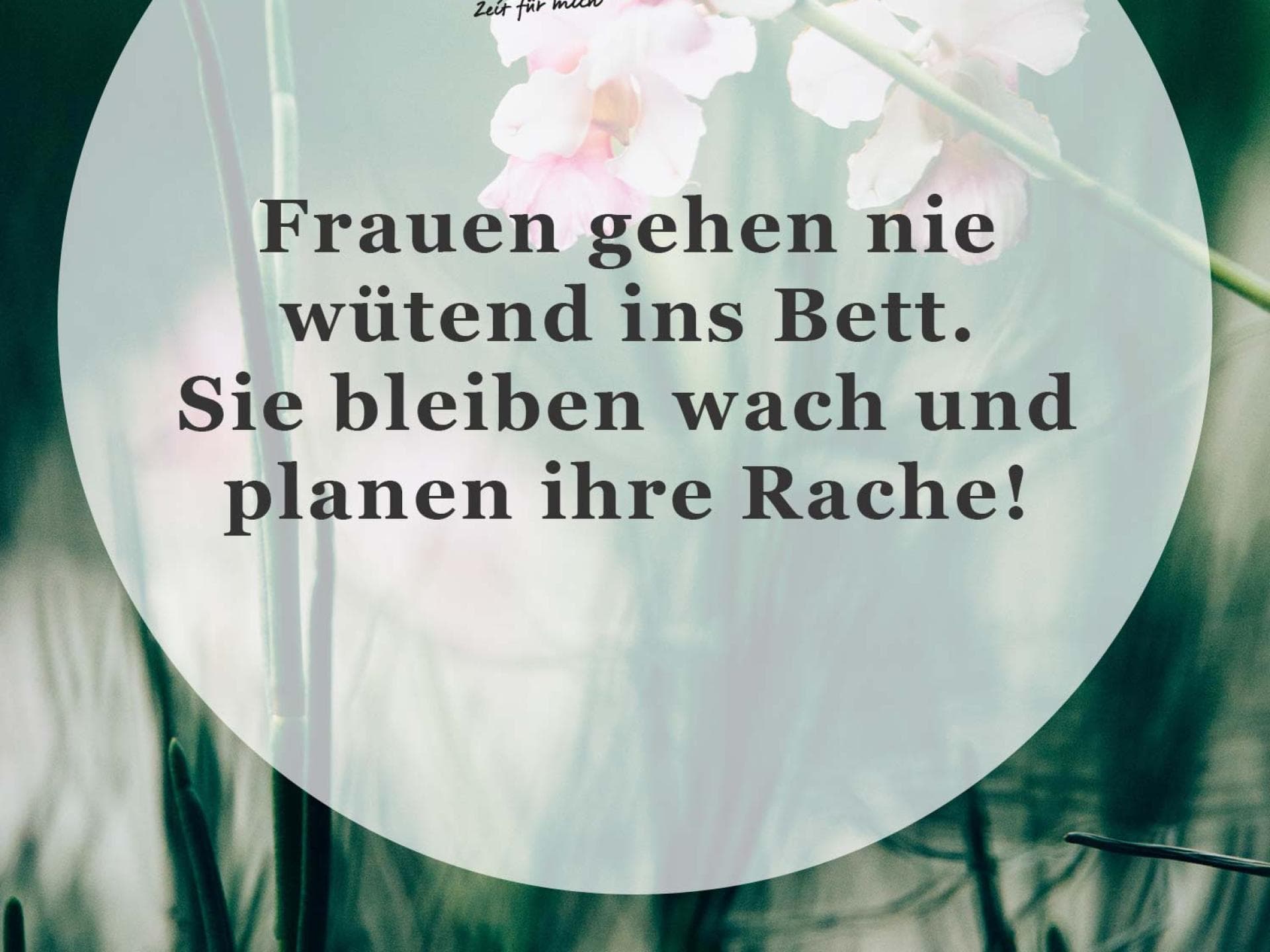 Spruch des Tages Spruch des Tages