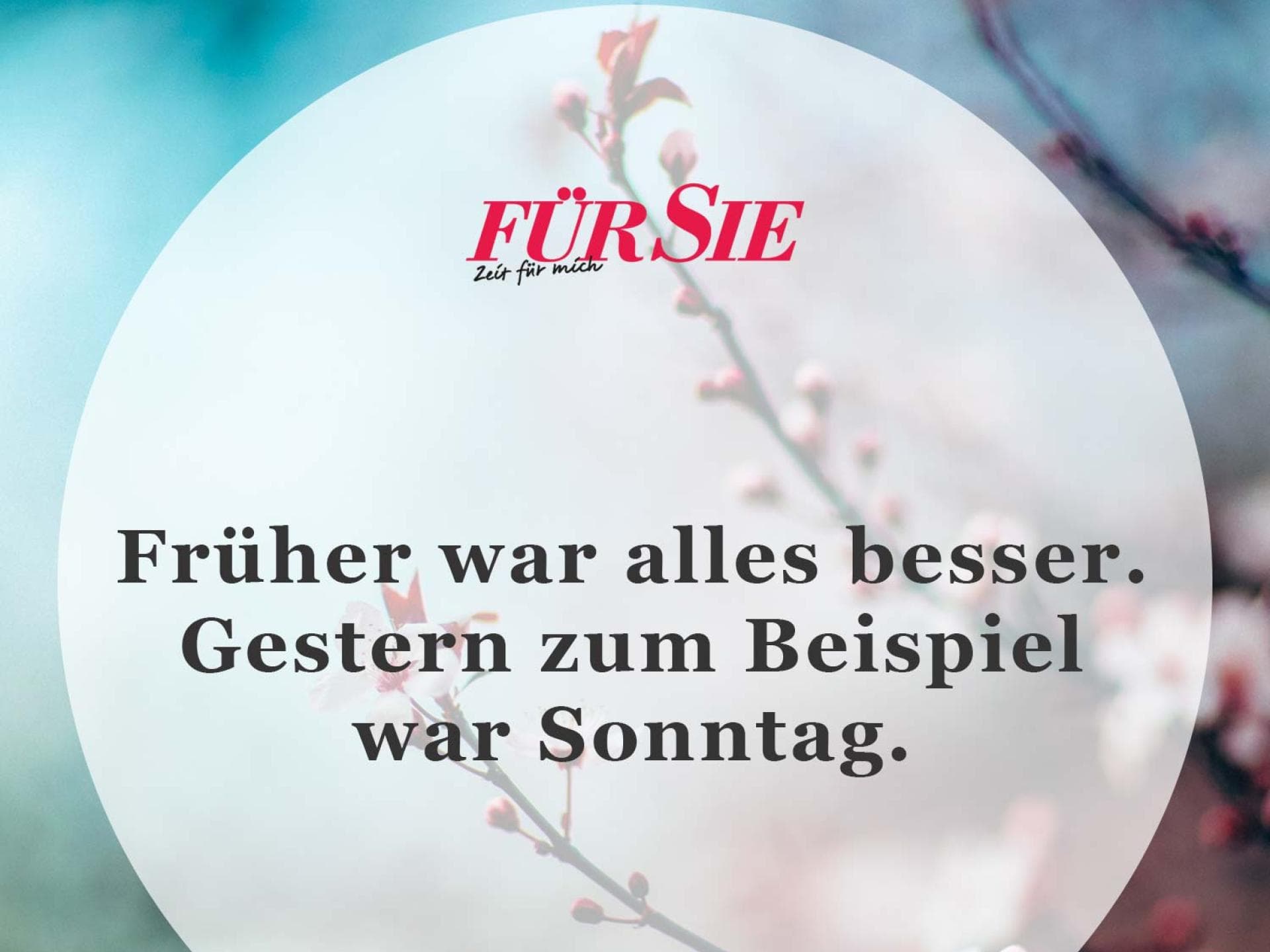Spruch des Tages Spruch des Tages