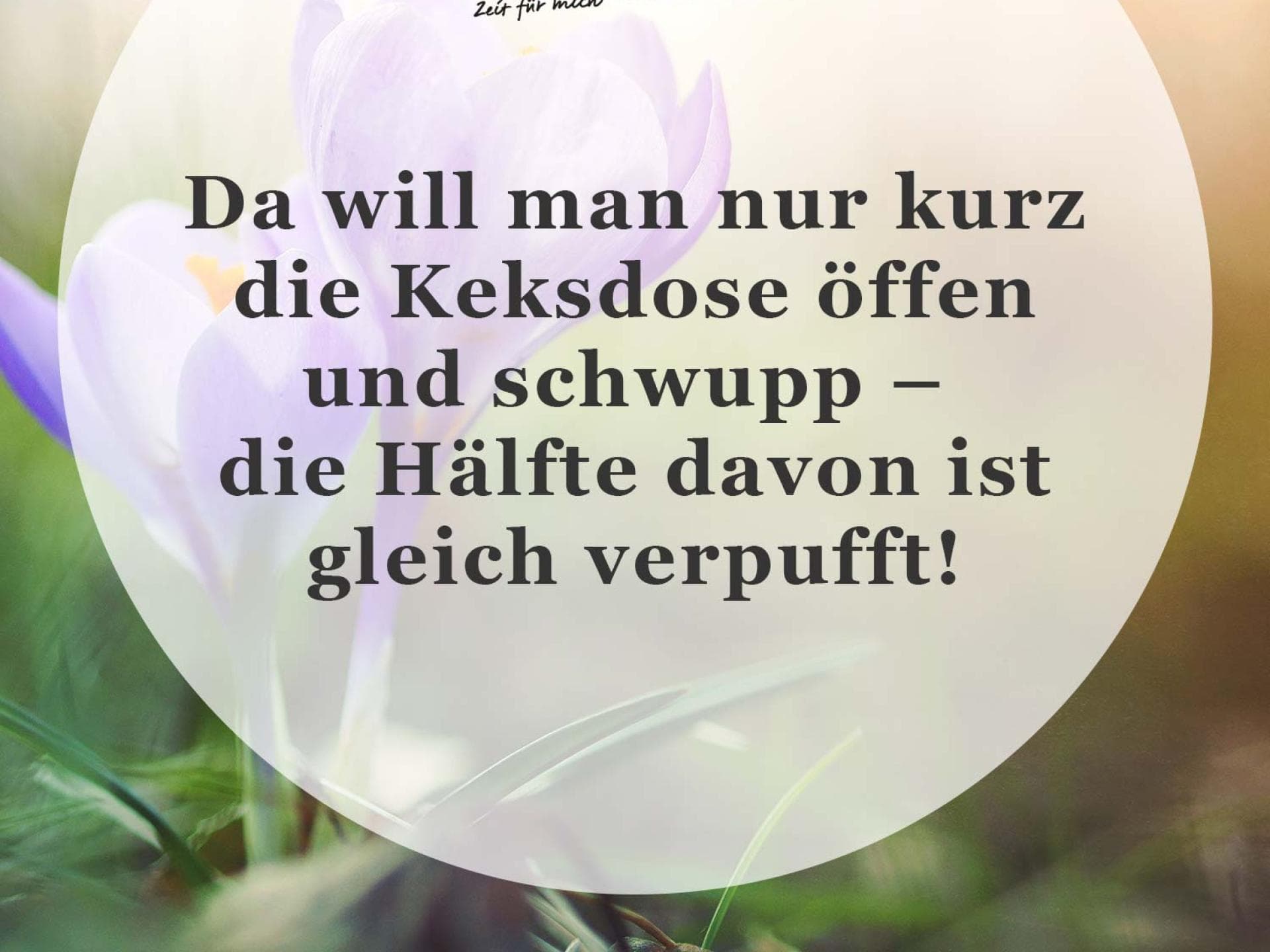 Spruch des Tages Spruch des Tages