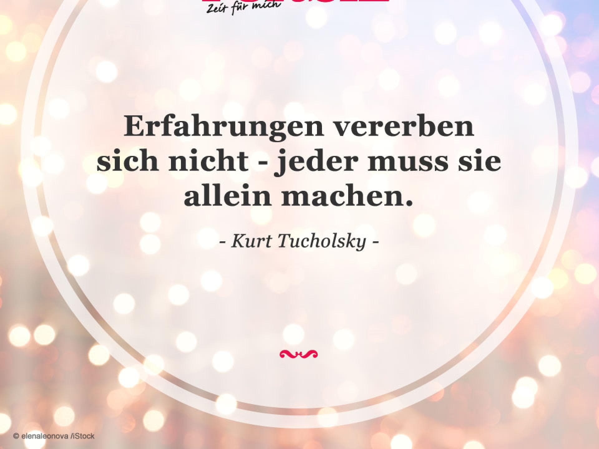 Spruch des Tages
