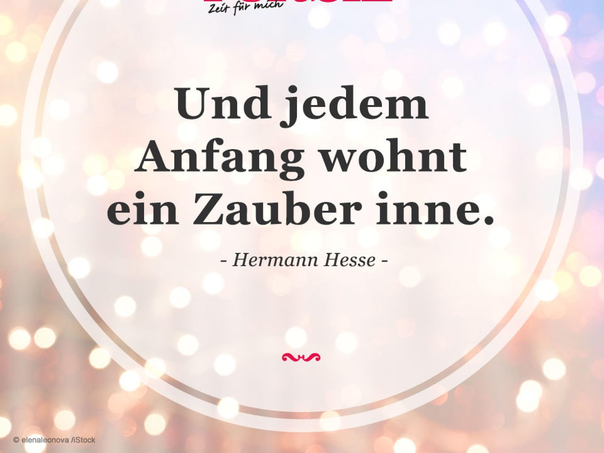 Spruch des Tages 