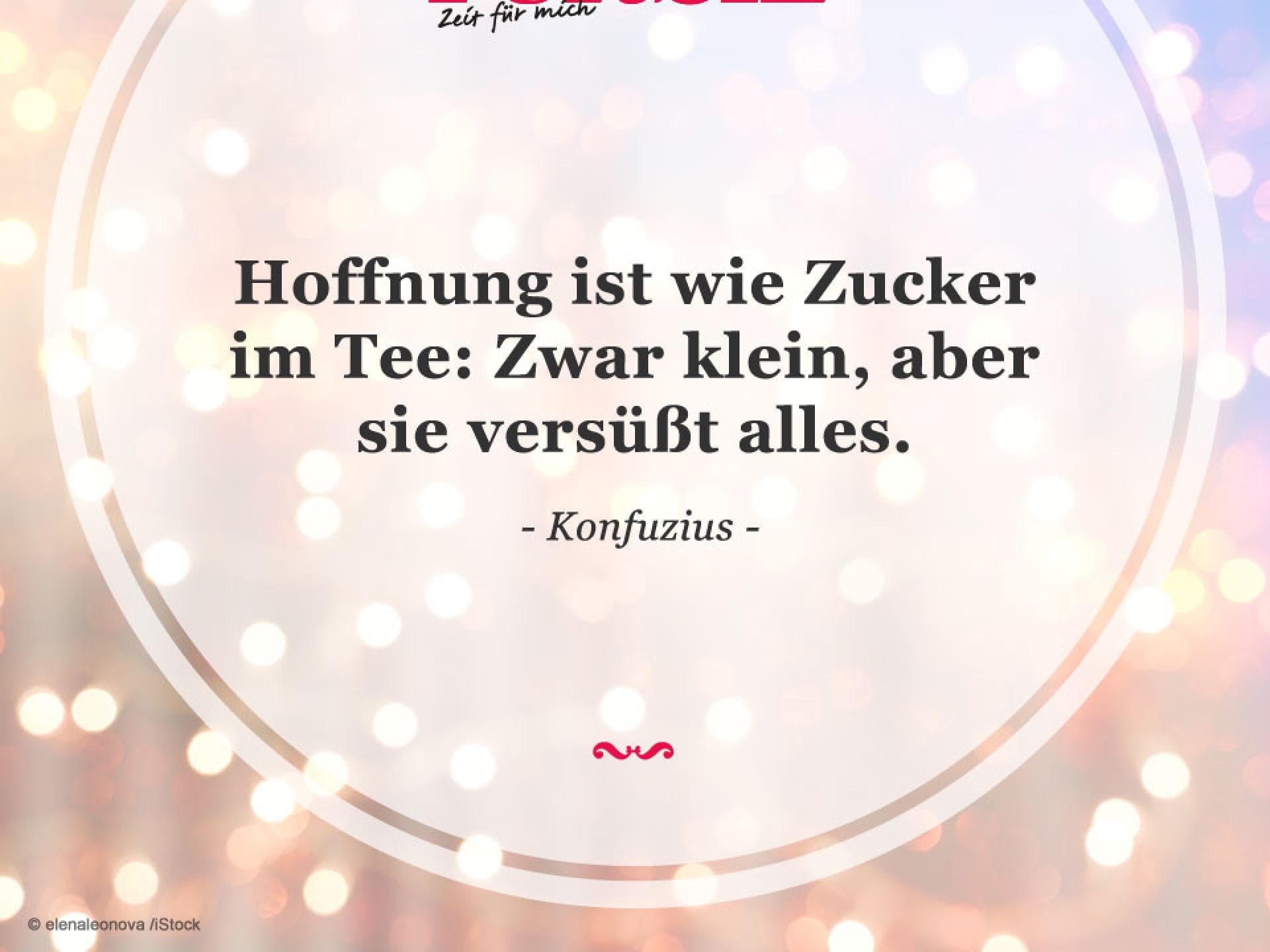 Spruch des Tages